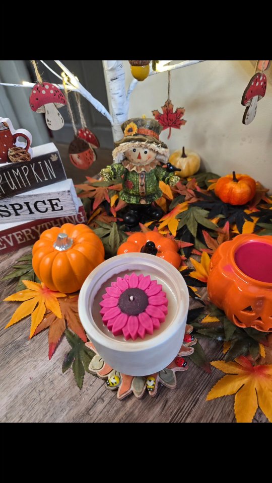 When everything comes together
I am so excited to see how this tests for
My Autumn Collection
#candlelover #candleshop #waxmeltsobsessed #soyawax #treenascozyflowers #smallbusinessowner
#decorideas #decor
