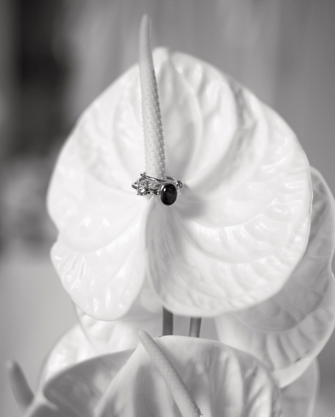 Another glimpse into Flowing Grace - Thankful for the artistry, passion, and energy each soul brought into this editorial 🤍
Team:
Wedding Planner @leandre.mariage
Model @lisa.butusow
Photo & Film @directed_art
Content Creation @bridalpartycontent
Hair & Make-up @nata_sha_mua
Jewelry @atelierwunderwald
Decor & Florals @daao_decor
Boutique @whitesilhouette_brautmoden
Location @innviertler.versailles
#weddingeditorial #weddingphotography #weddingfilm #super8wedding #analoganddigital #weddingcontentcreation #weddingdecor #weddingflorals #weddingdressinspiration #weddinghairandmakeup