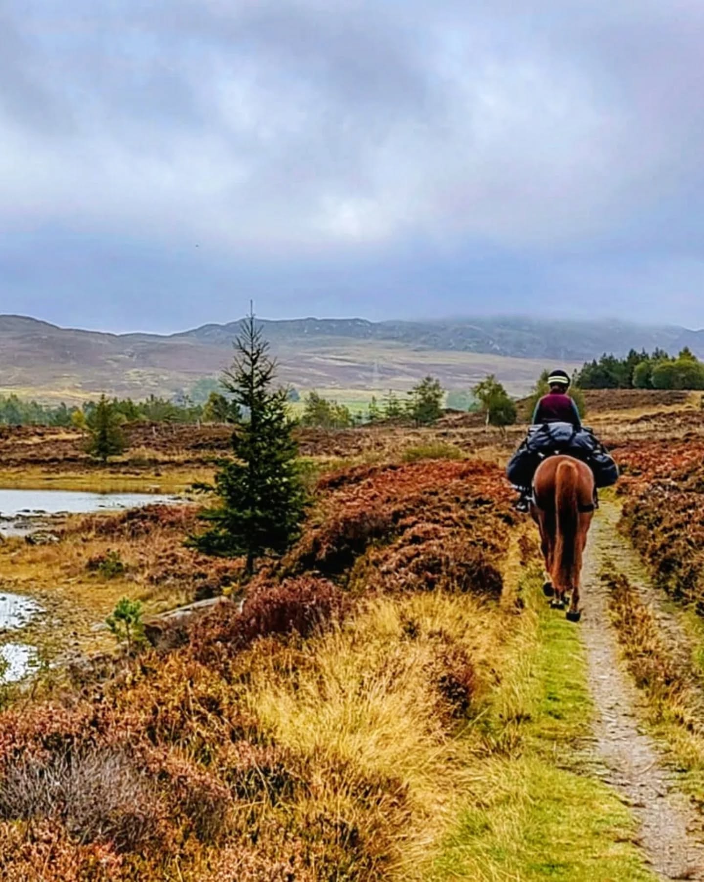 Follow on from my last post. Stunning photos from @bluebadgeraz 🥰
.
#ponypacking #poniesofinstagram #retiredpolopony #adventure #scotland #expolopony #saddletramp