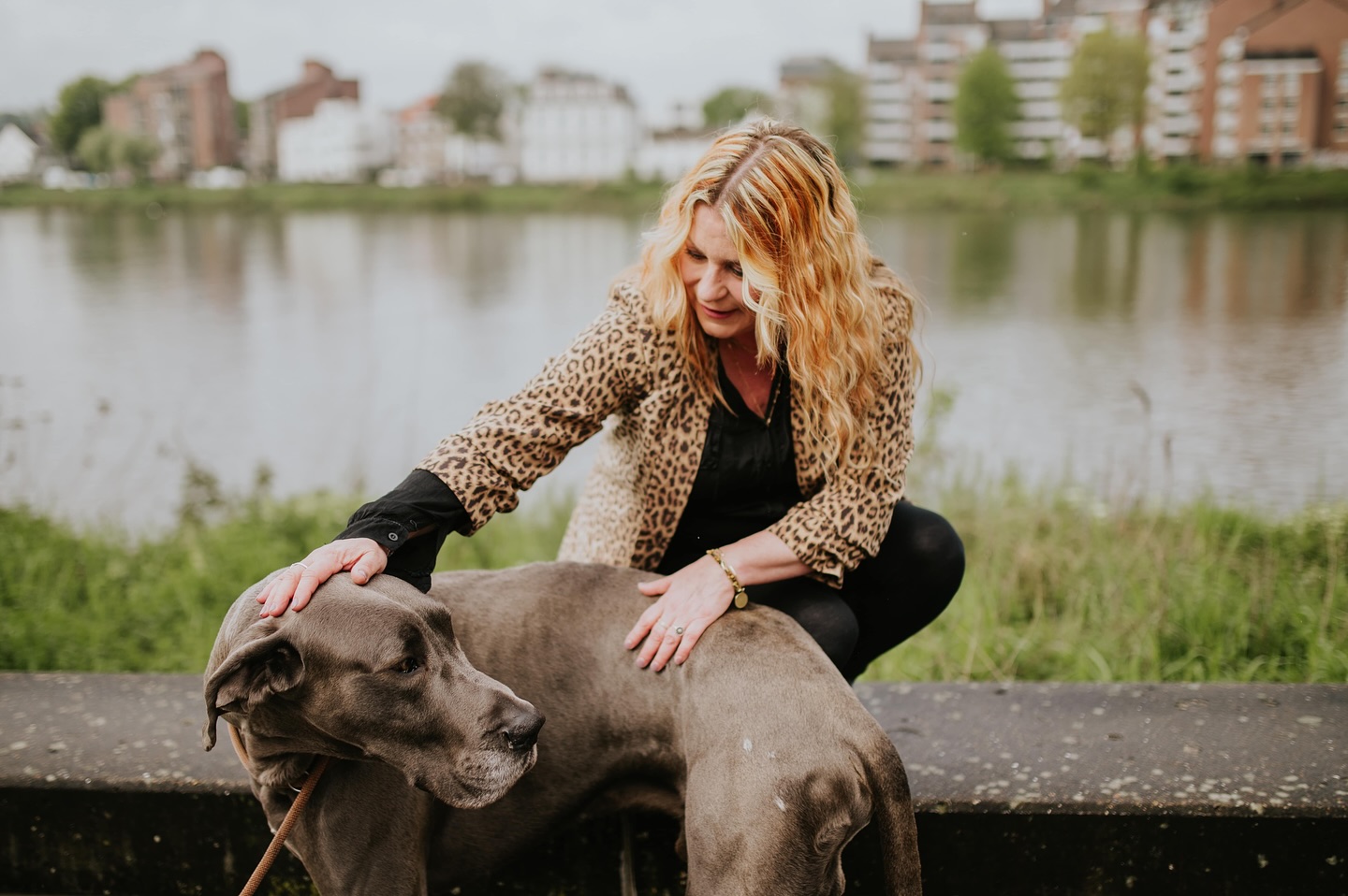 🐾 Toeval bestaat niet… Tijdens mijn fotoshoot met @tumbleweedandfireflies.photo ontmoette ik Humphrey, een prachtige Deense dog. En laat mijn logo nou nét bestaan uit een chihuahua en een Deense dog.
De symboliek erachter (naast mijn enorme liefde voor stoere, brutale chihuahuaatjes):
Size doesn’t matter: groot, klein, starter of ervaren… elke klant krijgt mijn tijd, creativiteit en volledige aandacht. 💛
Humphrey en ik zijn het erover eens: groot of klein, iedereen verdient een sterke branding 😍
#branding #sizedoesntmatter #houseofcommunications