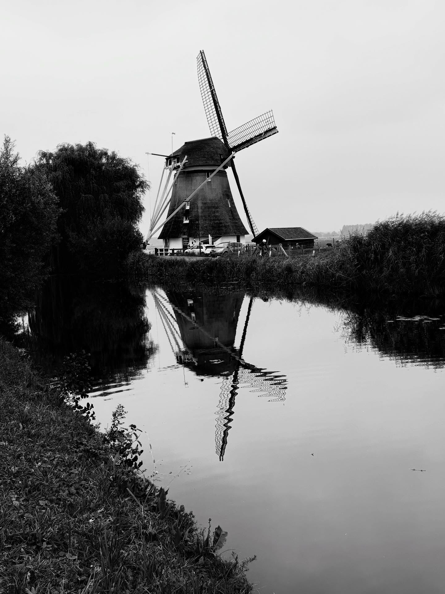 My new favorite way to get over a lack of sleep on an overnight transatlantic flight: hours long cycle ride in the typical Netherlands landscape! With Astrid Groot.