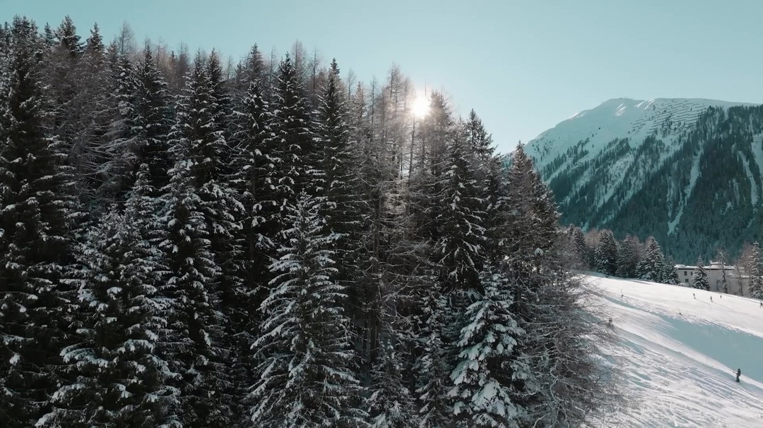 ❄️Kids aufgepasst! ❄️
Beim Dario Cologna Kids Event heisst es: Ski anschnallen, losstarten und jede Menge Spass haben! 🎿✨
Meldet euch jetzt an!
👉www.davosnordic.ch/kids-event