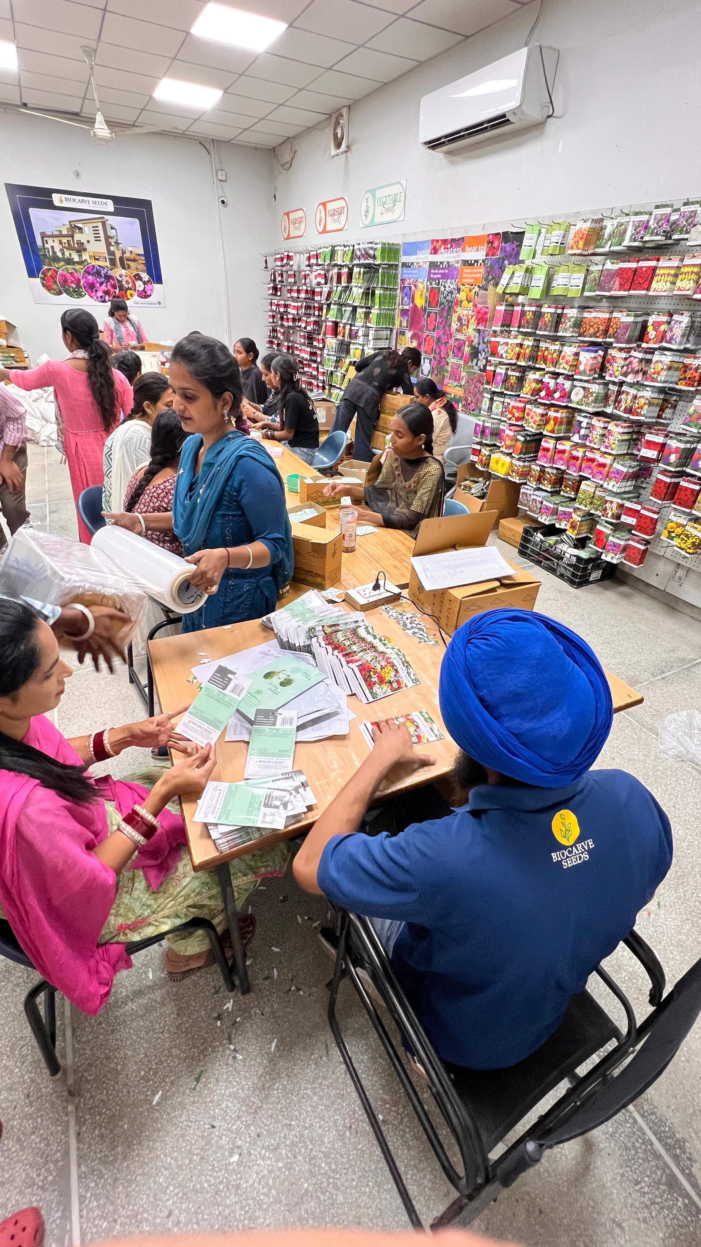 📦✨ From seed to sealed!
Step inside our packaging room, where every packet of Biocarve Seeds is carefully processed, packed, and prepared for growers across the country. 🌱
Here, precision meets care—ensuring that each pack carries healthy, high-quality seeds with proper labeling, storage, and protection. This process keeps seeds viable and ready to give farmers and gardeners the best possible germination and yield. 🌿
💡 Did you know? Proper packaging not only preserves seed quality but also shields them from moisture, temperature changes, and handling stress—making all the difference in their performance later!
👉 Next time you open a Biocarve Seeds packet, remember—behind it is a whole journey of care, science & trust. 💚
#BiocarveSeeds #SeedToSuccess #PackagingProcess #SeedQuality #SustainableFarming #FromSeedToBloom