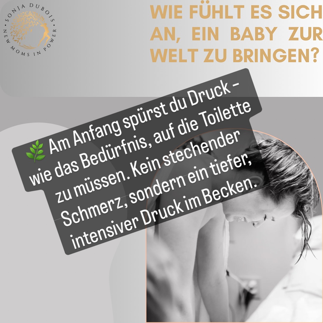 Möchtest du mehr lernen? Folge mir🫶