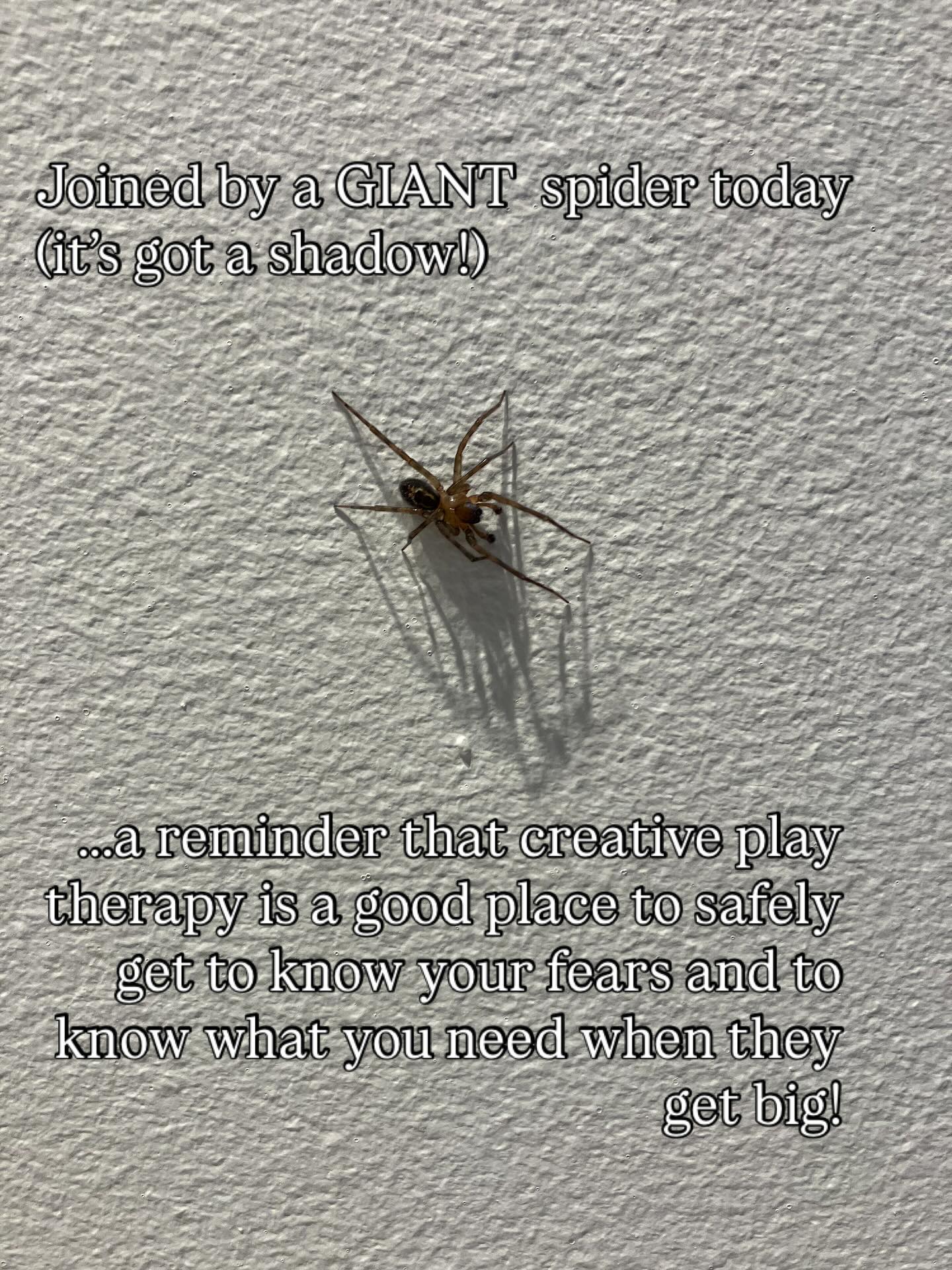 InsideOutside Therapy is here to get alongside the scary things with you 💫#adolescentmentalhealth #teenagementalhealth #childmentalhealth #anxiety #creativetherapy #playtherapy #insideoutsidetherapy #glasgow #stirling #scotland #bigspider