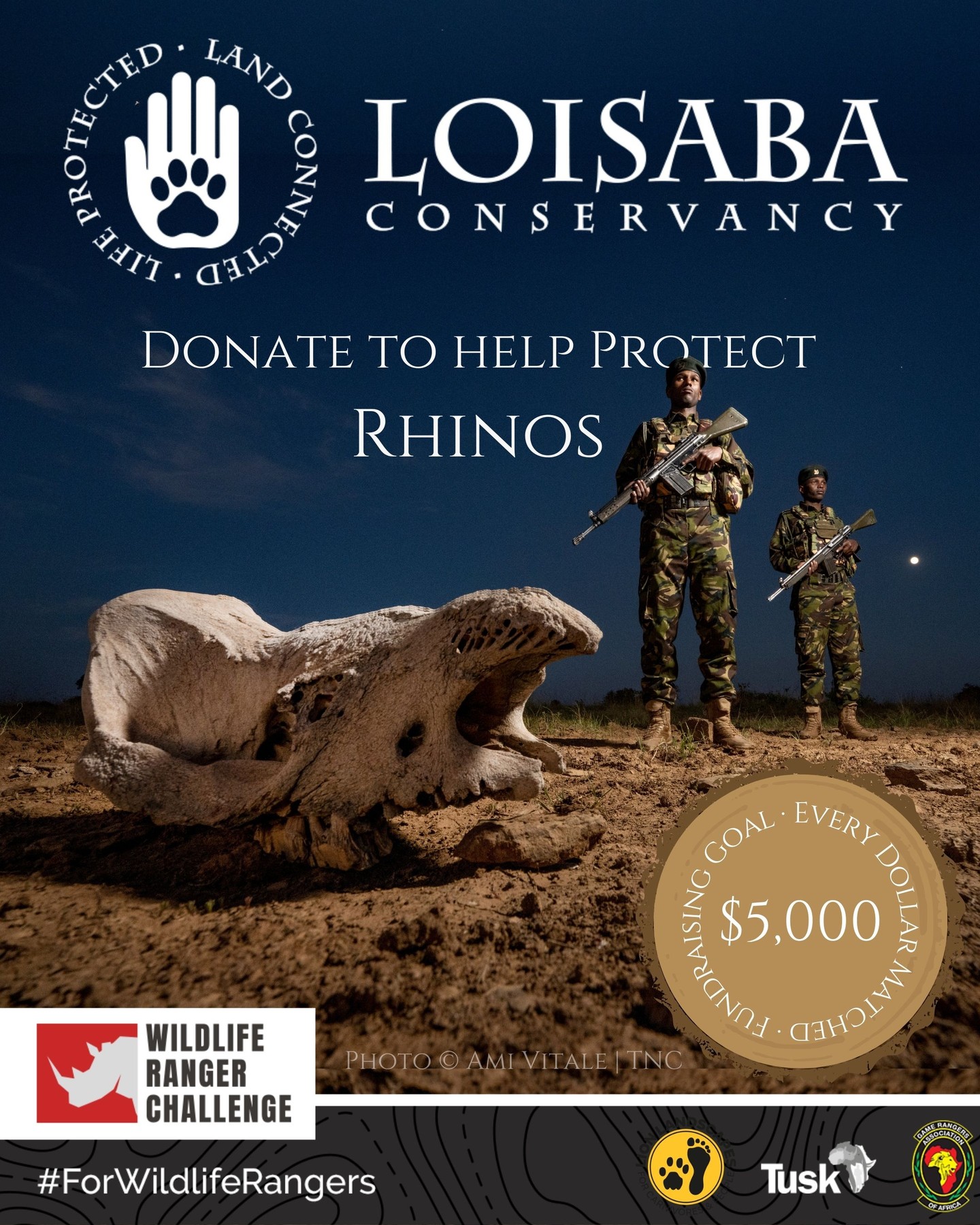 Fifty years ago, the last eastern black rhino at Loisaba was killed by poachers. All that remains is this skull — a stark reminder of what we stand to lose.
In early 2024, we reintroduced 21 eastern black rhinos to Loisaba after half a century. Since then, three calves have been born — a sign of hope, resilience, and what’s possible with protection.
There have been zero poaching incidents at Loisaba since 2017. But keeping it that way takes constant vigilance.
As part of the Wildlife Ranger Challenge, we’re aiming to raise $5,000 to support the rangers who make that protection possible — patrolling 58,000 acres and securing wildlife corridors that extend far beyond.
Organised by @tusk_org, the WRC celebrates the critical, often dangerous work of Africa’s rangers — from anti-poaching to community engagement and conservation science.
Every donation protects more than just wildlife — it protects the rangers too.
Your support helps fund:
🛡️ Anti-poaching patrols
🩺 Ranger health and insurance
🎒 Equipment and welfare
🧭 Cross-boundary conservation
💥 And thanks to Mark Scheinberg, every donation is matched — doubling your impact.
🔗 Donate today: https://wildlife.rangerchallenge.org/campaigns/Loisaba-Conservancy (link in bio)
Photo © Ami Vitale | Courtesy The Nature Conservancy
#WildlifeRangerChallenge #ForWildlifeRangers #RhinoProtection #LoisabaConservancy #LandConnectedLifeProtected #FrontlineConservation #SupportOurRangers #RangersLeadTheWay #TuskTrust #LionLandscapes #TrainLikeARanger #ConservationInAction #LaikipiaConservation #EasternBlackRhino #HopeForRhinos @lionlandscapes @gamerangersassociationofafrica