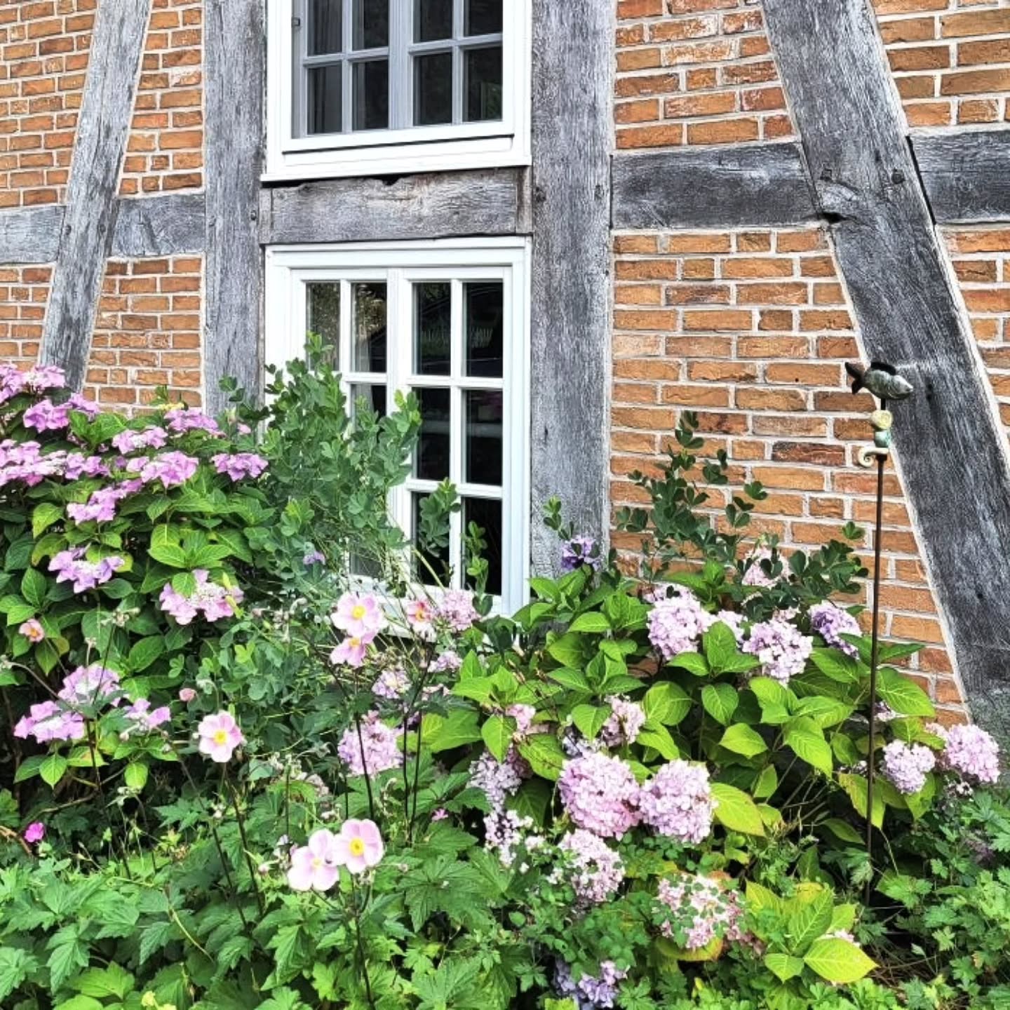 Kerstin and Holger hadn't planned to ‘stumble upon’ an old mill in need of renovation in the North German artists' village of Fischerhude, but they recognised its potential and embarked on the adventure (without much prior experience).
Today, the old mill is at least as beautiful as it was once intended to be. Both the building and the idyllic garden. Plus, there is a warm and inviting atmosphere inside.
In my latest article on my blog WIRKUNGSRAUM, I write about the couple's renovation journey and was also given a glimpse into both the private rooms and the beautiful holiday flat.
-
Kerstin und Holger hatten nicht geplant, über eine sanierungsbedürftige alte Mühle im norddeutschen Künstlerort Fischerhude "zu stolpern", aber sie haben das Potenzial erkannt und sich (ohne große Vorerfahrung) auf das Abenteuer eingelassen.
Heute steht die alte Mühle wieder mindestens so schön da, wie sie einmal gedacht war. Sowohl das Gebäude, als auch der idyllische Garten. Plus warmer und einladender Atmosphäre in den Innenräumen.
Im neuesten Artikel auf meinem Blog WIRKUNGSRAUM schreibe ich über die Sanierungs-Reise der beiden und habe auch einen Blick sowohl in die Privaträume als auch in die schöne Ferienwohnung werfen dürfen.
.
.
.
.
.
.
.
@anno_1809
#baudenkmal #fischerhude #sanierung #mühle #mill #renovation #listedbuilding
#nachhaltigsanieren #denkmalschutz #fachwerk #sustainablerenovation
- Unbezahlte Werbung wegen Namensnennung -