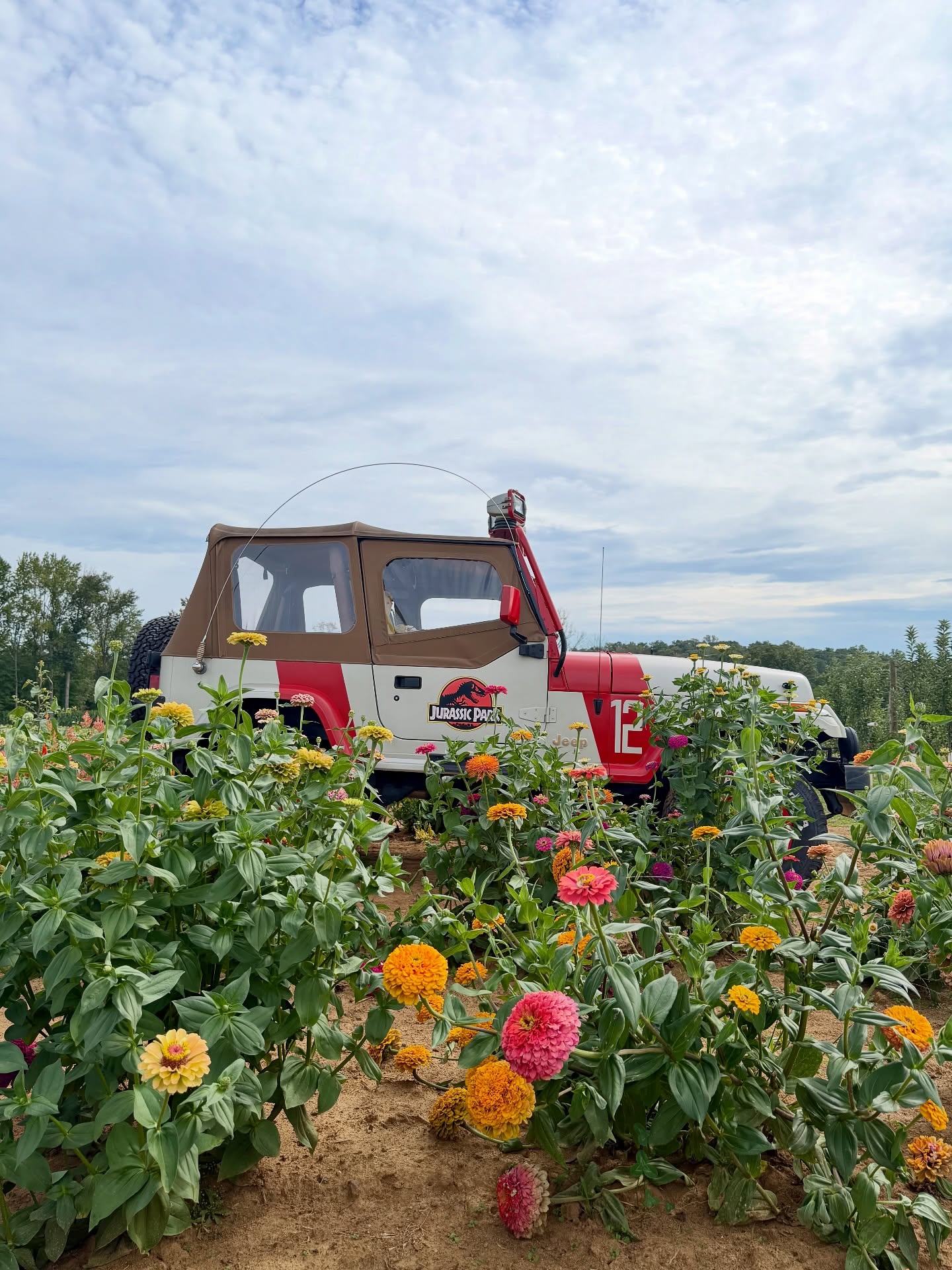 When Jurassic Park meets Annie’s Orchard…life really does find a way 🦕🌻🦖🌸
Thank you to our very sweet customer who let me live my Jurassic Park/Jeep Wrangler fantasy today!