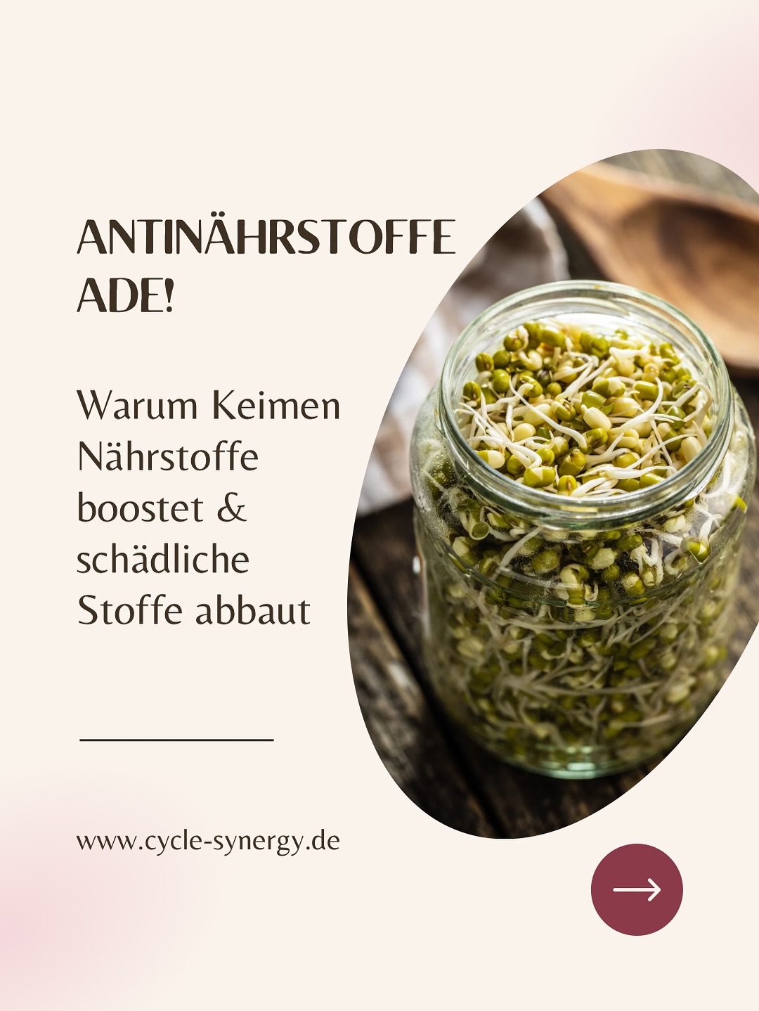 Kennst du Antinährstoffe? Die kleinen Störenfriede in pflanzlichen Lebensmitteln, die unsere Nährstoffaufnahme blockieren können. 🌿
Hülsenfrüchte, Nüsse, Samen, Getreide – alles super gesund, aber Antinährstoffe wie Phytinsäure, Oxalsäure, Trypsin-Inhibitoren oder Lektine können die Aufnahme von B-Vitaminen, Eisen, Zink und Proteinen erschweren und im schlimmsten Fall sogar die Blutbildung beeinträchtigen.
Früher hat die richtige Zubereitung deutlich mehr Zeit bekommen: Einweichen, Fermentieren, langes Kochen – all das hat Antinährstoffe abgebaut und Lebensmittel bekömmlicher gemacht. Heute, wo alles schnell gehen muss, wird das oft weggelassen. Die Folge: mehr Antinährstoffe bleiben erhalten, die wir eigentlich ganz leicht reduzieren könnten.
Die gute Nachricht: Mit einfachen Schritten wie Einweichen, Keimen oder Dampfgaren machst du Nährstoffe besser verfügbar und dein Essen viel leichter verdaulich.
Keimen ist dabei ein echter Gamechanger: Vitamine steigen, Mineralstoffe werden besser aufgenommen, Antioxidantien nehmen zu – und es schmeckt frisch und lebendig. 🌱
Ein paar Praxis-Beispiele: Buchweizen über Nacht einweichen, 2–3 Tage keimen und morgens als Müsli genießen. Brokkolisprossen als kleinen Hormon-Superfood-Boost in Salate geben. Oder getrocknete Kichererbsen einweichen, keimen und dann kochen – viel bekömmlicher und super nahrhaft.
Also, ran an die Sprossen! Deine Mahlzeiten werden nicht nur leckerer, sondern auch richtig nährstoffstark. 💚
👉 Hast du schon mal Buchweizen, Kichererbsen oder Brokkolisamen selbst gekeimt? Ich bin gespannt: Welche Sprossen landen bei dir am liebsten auf dem Teller?
Quelle: Nextvital Professional Ausbildung, Sept 2025 (@nextvital, @dr.thomaspeter)
#keimen #zyklusgesundheit #darmfreundlich #nährstoffpower #ganzheitlichegesundheit
#brokkolisprossen