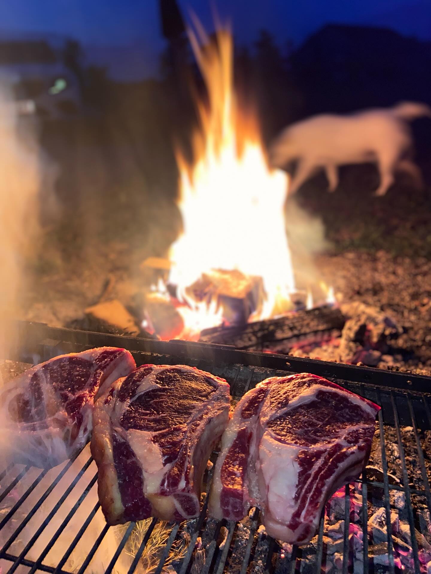 Angus PRIME..
BOA Farm Premium Beef Austria
Marbling + Beef + Grill: A superlative Beef Experience
Una de las razones del éxito de la raza Angus es su marmoleo.
Cuando pensamos en razas, pensamos en calidad, sin dudas que la raza Angus esta entre las favoritas. Y como siempre decimos es la mejor opción para cruzar con Wagyu.
BOA Farm busca la perfección, la excelencia y es un privilegio acompañarlos en este camino de calidad. Permitirnos aplicar nuestra experiencia en marmoleo es un privilegio !Hoy sus bistecs están en Vienna y en los lugares mas sofisticados de Austria, lograr esto no ha sido un camino de rosas, mantenerse en el segmento Premium tampoco, pero lo lograron, por tal motivo todos reconocen su esfuerzo y los admiran. Felicitaciones y gracias por permitirnos ser parte de su exitoso proyecto!
https://www.beefcattle.at/
#marbling
#angus
#bigbones