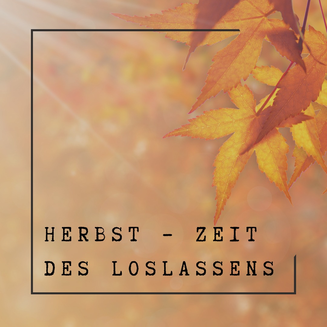 🍂 Herbst – Zeit des Loslassens 🍂
Der Herbst ist da – die Tage werden kürzer, die Luft frischer und die Natur zieht sich langsam zurück. Auch unser Körper reagiert auf diese Veränderungen.
🍁 Herbst in der TCM
In der Traditionellen Chinesischen Medizin gehört der Herbst zum Metall-Element, verbunden mit Lunge und Dickdarm.
Die Lunge reguliert Atmung, Haut und Abwehrkräfte.
Der Dickdarm unterstützt uns beim Loslassen – nicht nur körperlich, sondern auch seelisch.
Die Energie zieht sich im Herbst nach innen und unten. Wir dürfen loslassen, was uns nicht mehr dient – so wie die Bäume ihre Blätter fallen lassen. Gleichzeitig ist es wichtig, unser Wei-Qi (Abwehrkraft) zu stärken.
🍁 Typische Herbst-Symptome
Wenn das Metall-Element geschwächt ist, zeigen sich oft:
Häufige Erkältungen oder trockener Husten
Trockene Haut, spröde Lippen
Traurigkeit oder Melancholie
🍁 Kleine Rituale für den Alltag
Eine Tasse wärmenden Tee am Abend (z. B. Fenchel oder Thymian)
Ein Spaziergang im Tageslicht – fördert Serotonin für gute Stimmung und reguliert den Schlaf-Wach-Rhythmus (mehr Melatonin am Abend)
Tief atmen: 4 Sekunden ein, 6 Sekunden aus – 5–10 Mal wiederholen
Gekochte, warme Mahlzeiten wie Suppen, Eintöpfe oder Ofengemüse
So stärken wir Immunsystem und Verdauung und finden unser inneres Gleichgewicht für die kühlere Jahreszeit. 🍂
👉 Wenn Sie Ihr Immunsystem und ihre psychische Gesundheit jetzt gezielt unterstützen möchten, begleite ich Sie gerne – mit Akupunktur, Ernährungstherapie und psychosozialer Beratung.
Vereinbaren Sie einen Termin und finden Sie heraus, was Ihrem Körper in dieser Jahreszeit besonders gut tut.
#herbst #herbstzeit #gesundheit #immunsystem #immunsystemstärken #wohlbefinden #achtsamkeit #naturheilkunde #akupunktur #traditionellechinesischemedizin #tcm #naturheilpraxis #sanusvictus #aarau #aargau #schweiz #naturheilkundeaarau #naturheilkundeschweiz #gesundheitszentrumaarau #selfcare #herbstgefühle