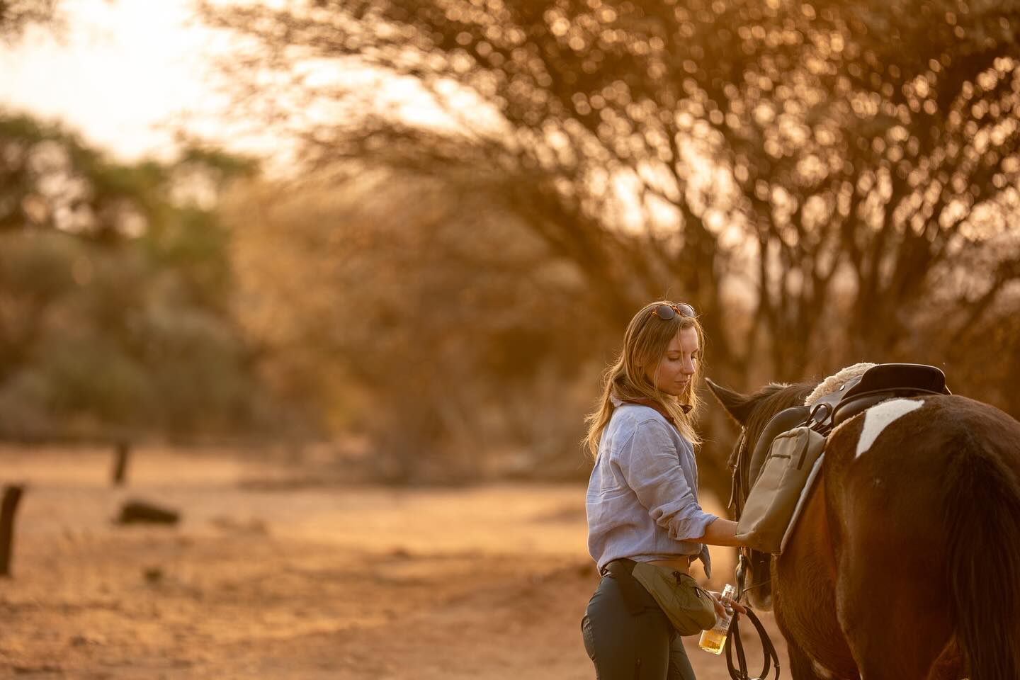 Golden hour at horse riding safari 🦒
Photo credit @magdi_horsepassion
#goldenhour☀️ #goldensafari #horsesafari #horsesafariafrica #horseridingnamibia #konnesafari #dzikaafryka