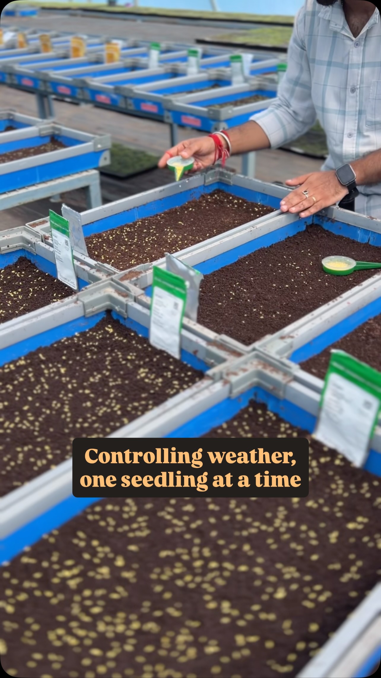🌱✨ Sowing the future, today!
Inside our climate-controlled FanPad, every seed gets the perfect environment—regulated temperature, humidity & airflow—no matter what the weather is outside. 🌤️❄️☀️
With this advanced technology, we can produce seedlings ahead of season, so our clients enjoy early flower blooms 🌸 and get a head start in their gardens and farms.
This isn’t just sowing seeds—it’s about bringing innovation into agriculture, ensuring healthier plants, reliable timelines, and smiles that blossom sooner. 💚
📖 Did you know? Controlled environments like FanPads reduce stress on seedlings, leading to stronger roots and more vibrant plants at transplant!
👉 Imagine your garden flowering weeks earlier—what would you grow first?
#BiocarveSeeds #EarlyBlooms #FutureFarming #SeedlingProduction #ControlledEnvironment #InnovationInAgriculture #FanPad
