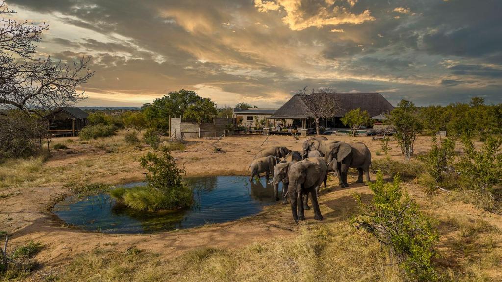 Choosing the right accommodation can make all the difference on your African adventure! 🌍✨ Whether you’re traveling solo, with family, or a group, we’re here to help you find the perfect lodge or camp that suits your needs. Ready to explore the beauty of Africa? Link in bio! 🦁🏕️ #SafariAccommodation #AfricaTravel #AdventureAwaits #DiscoverAfrica #TravelInspiration #NatureLovers #ExploreWithUs #TravelGoals