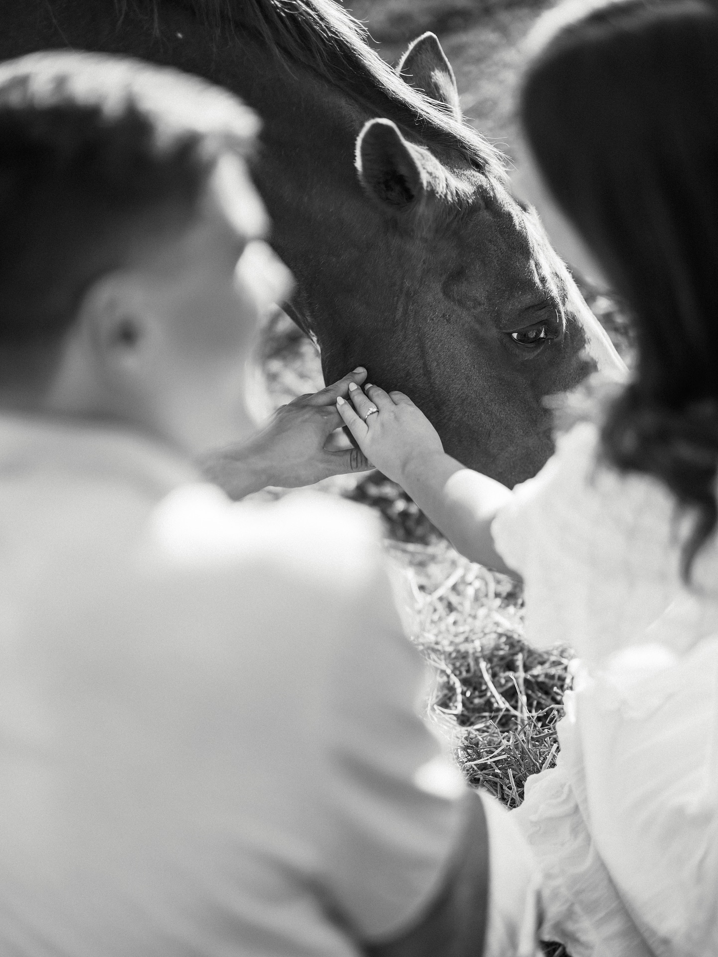 For Lillie & Ron, it only made sense to capture their engagement photos at her childhood home, a place that held so much meaning for both of them. It felt simple, familiar, and beautiful. The way memories do 🤍
#raleighweddingphotographer #raleighwedding #eastcoastwedding
#eastcoastweddingphotographer #destinationweddingphotographer #northcarolinaweddingphotographer
#ncweddingphotographer #2026bride