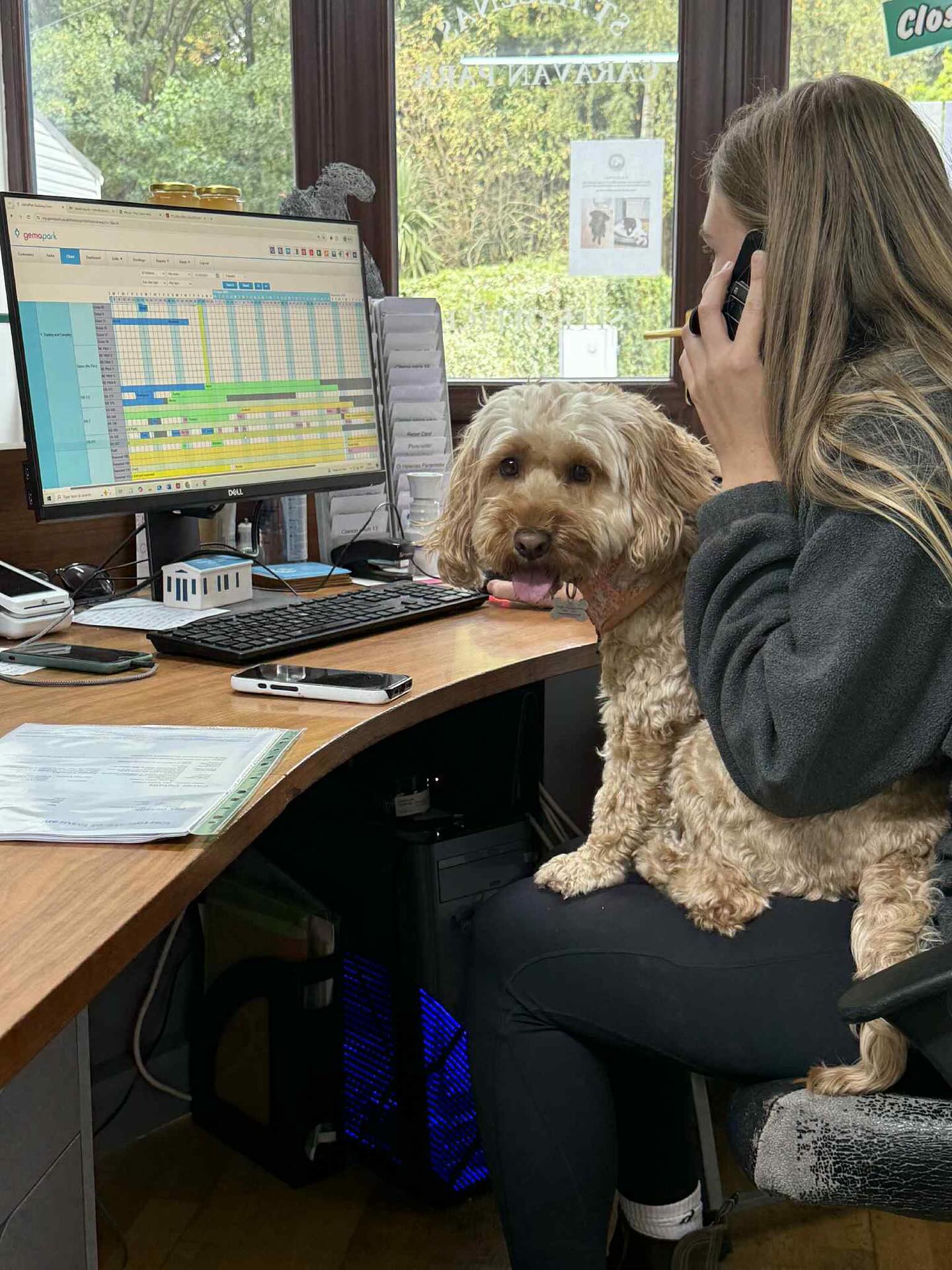 From office work, to digger driving, to playing in our woodland, these two have the best day on park!🐶🥰
Both of our parks are dog friendly and we love to say hello😁👋🏻
#dog #dogfriendly #campsite #caravanpark #camping #woodland #outdoors