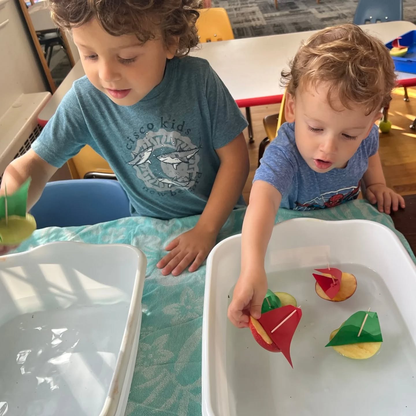 A is for Apple and Apple Boats! Fun water play to end a week of learning about apples! #handsonlearningfun #preschoolactivities #veritasatelmwood