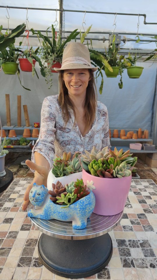 #DIY #Sukkulenten #Stecklinge #Pflanzenliebe #PlantPropagation
#SucculentDIY #UrbanJungle #Ablegerliebe #Selbstgemacht #GreenHome
#GrowYourOwn #SucculentAddict #DIYReels #PlantLover #Houseplants