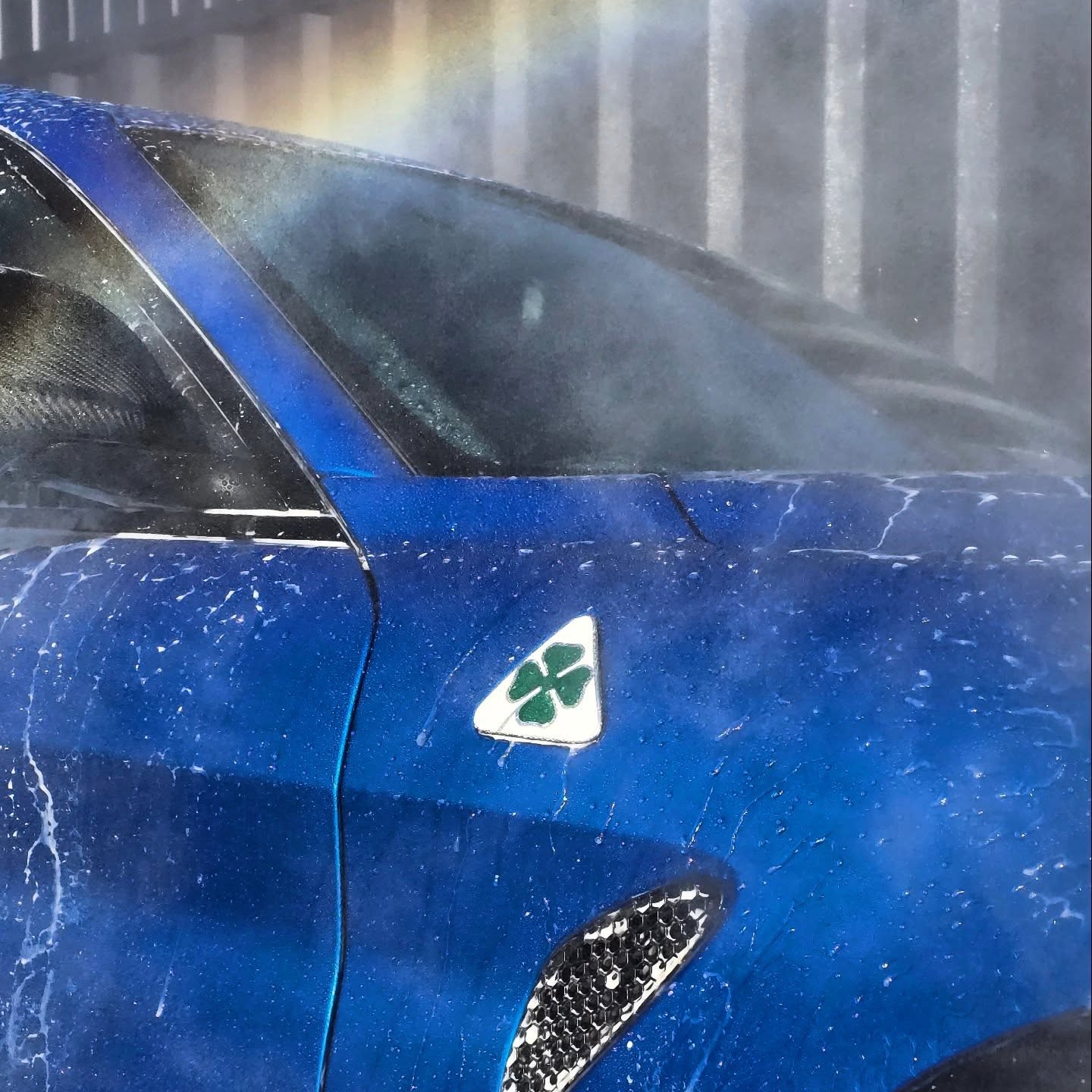 I found that 4-leaf clover
This Alfa Romeo is now looking it's best after it's Express Valets. Keep the wheels and body clean will help maintain that natural shine
#alfaromeo #quadrifoglio #expressvalet #aberdeenshire