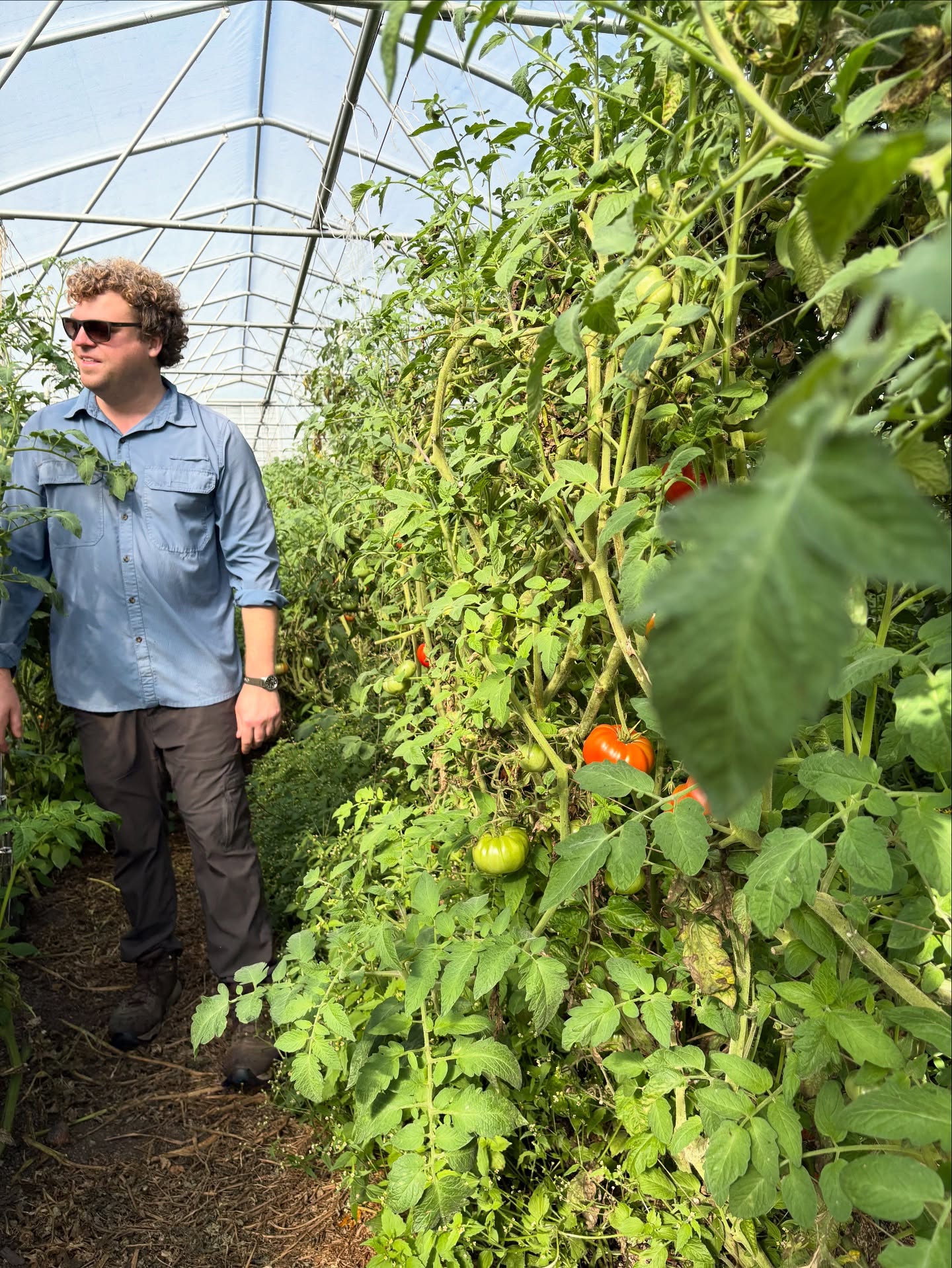 The fields are still bursting with color 🍅🌻🌱 and so are our market tables catch us at the Farmers Market through the end of October.
📌Saturday @palatinefarmersmarket
📌Sunday @farmersmarketatd