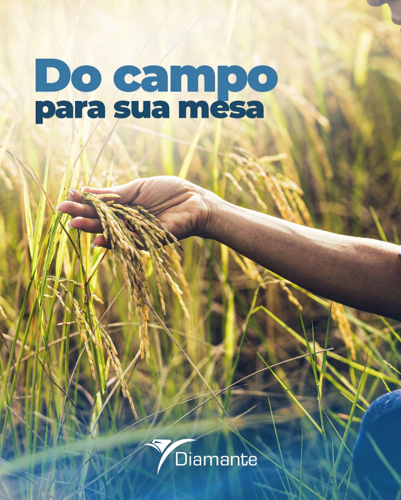 🌾✨ Do campo para a sua mesa.
Com dedicação e cuidado, cultivamos alimentos que carregam a essência da terra e chegam até você com qualidade e confiança. 💎🚜