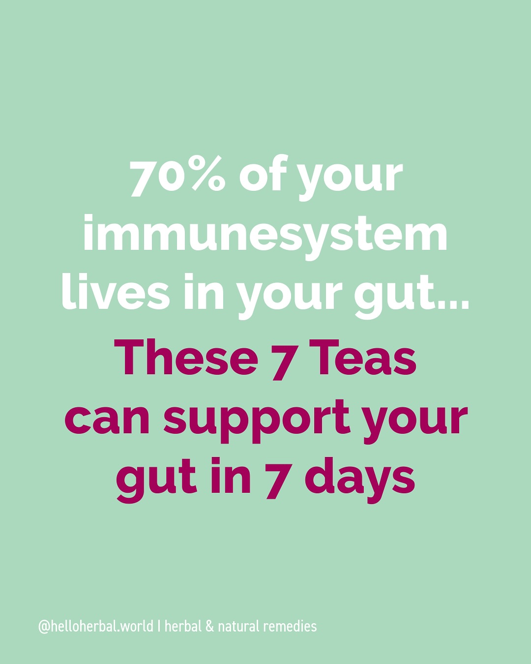 70% of your immune system lives in our gutā¦
The right teas can be powerful allies for digestive wellness, offering natural compounds that soothe inflammation, support beneficial bacteria, and promote healthy digestion.
Try these 7 tea in 7 days to support digestion, reduce bloating and cramps. From chamomileās anti-spasmodic properties to gingerās digestive enzymes, these herbal remedies have been trusted for centuries to heal and restore gut balance. Unlike harsh medications, teas work gently with your bodyās natural processes to reduce bloating, ease discomfort, and strengthen your digestive system from within.
š Save this post and try a different tea each day this week! Your digestive system will thank you
š¬Which tea are you most excited to try? Tell me in the comments!
āØš Follow @helloherbal.world for tips and DIYS for for natural health, non-toxic living and herbal remedies
#guthealth #digestivehealth #herbaltea #holistichealth #tealovers #naturalhealing #healthylifestyle #antiinflammatory #bloatingrelief #ibs #digestivewellness #teatox #healthytips #gutmicrobiome #herbalremedy