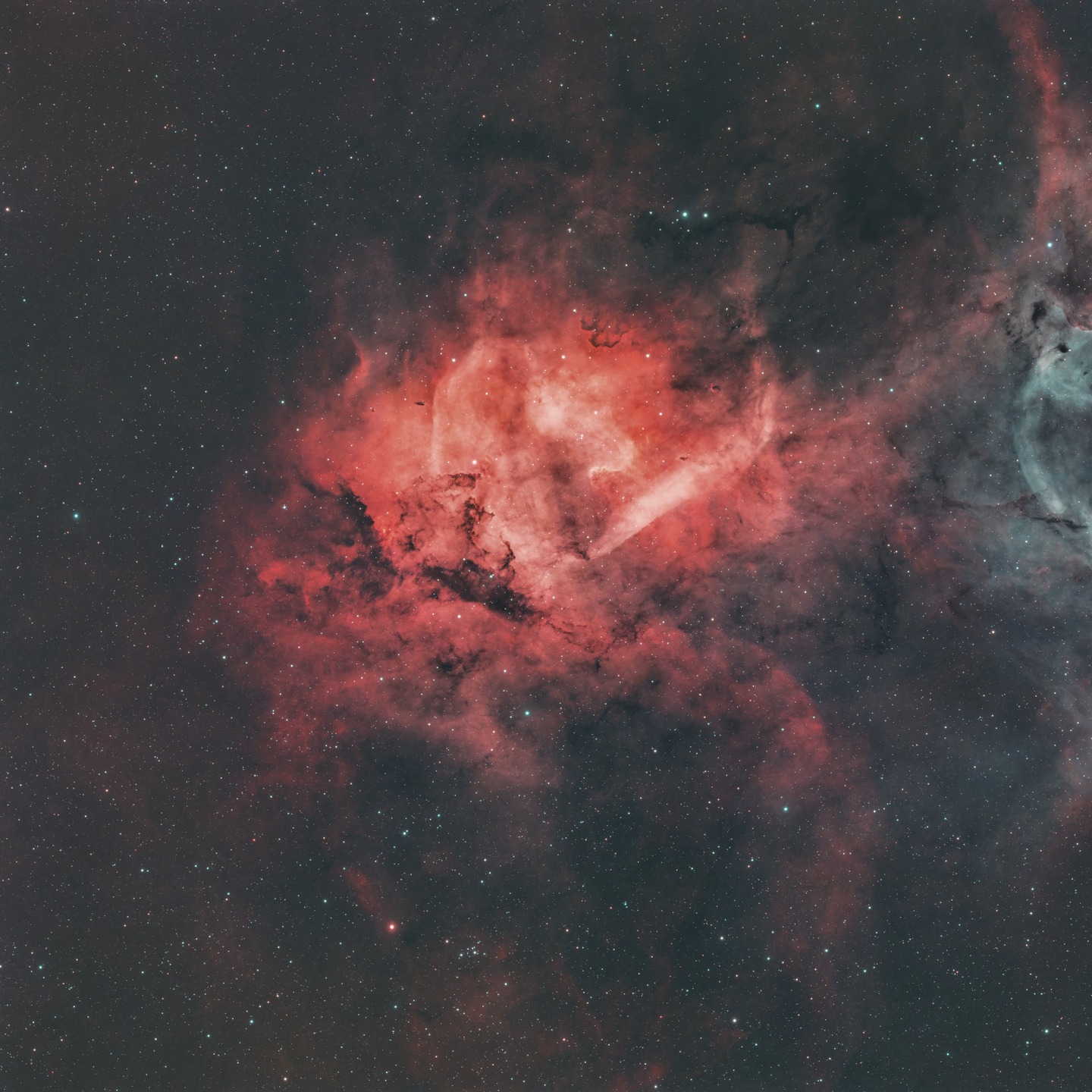 SH2-132 Lion Nebula #astrophotography