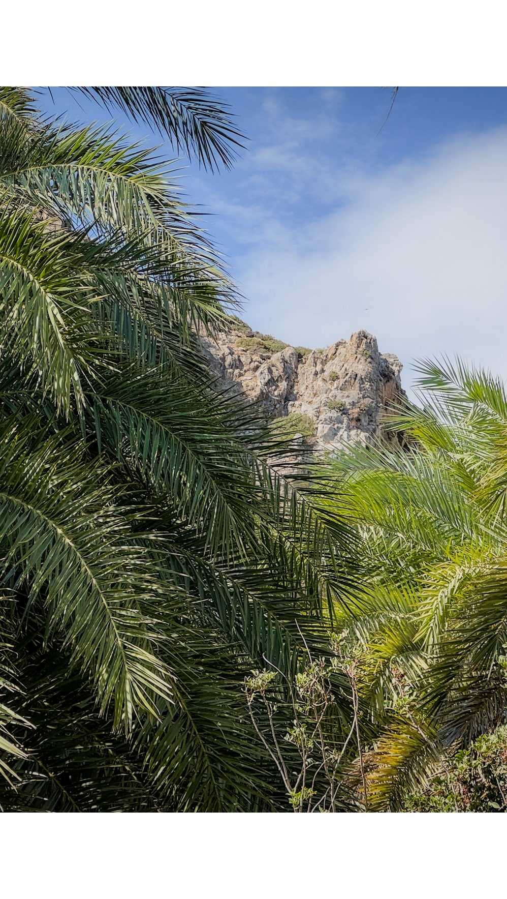„Crete in the rearview, freedom on the windshield 🚗💨 Every curve a surprise, every stop a new adventure. Somewhere between mountains, olive groves and the sea I realized: the journey itself is the destination 🌅🌿.“
#TravelGram #Wanderlust #AdventureAwaits #TravelAddict
#InstaTravel #TravelPhotography #LandscapePhotography #ExploreMore
#Crete #VisitCrete #GreekIslands #VisitGreece
#Kreta #KretaUrlaub #KretaLiebe #GriechenlandUrlaub
#Roadtrip #Reisefotografie
