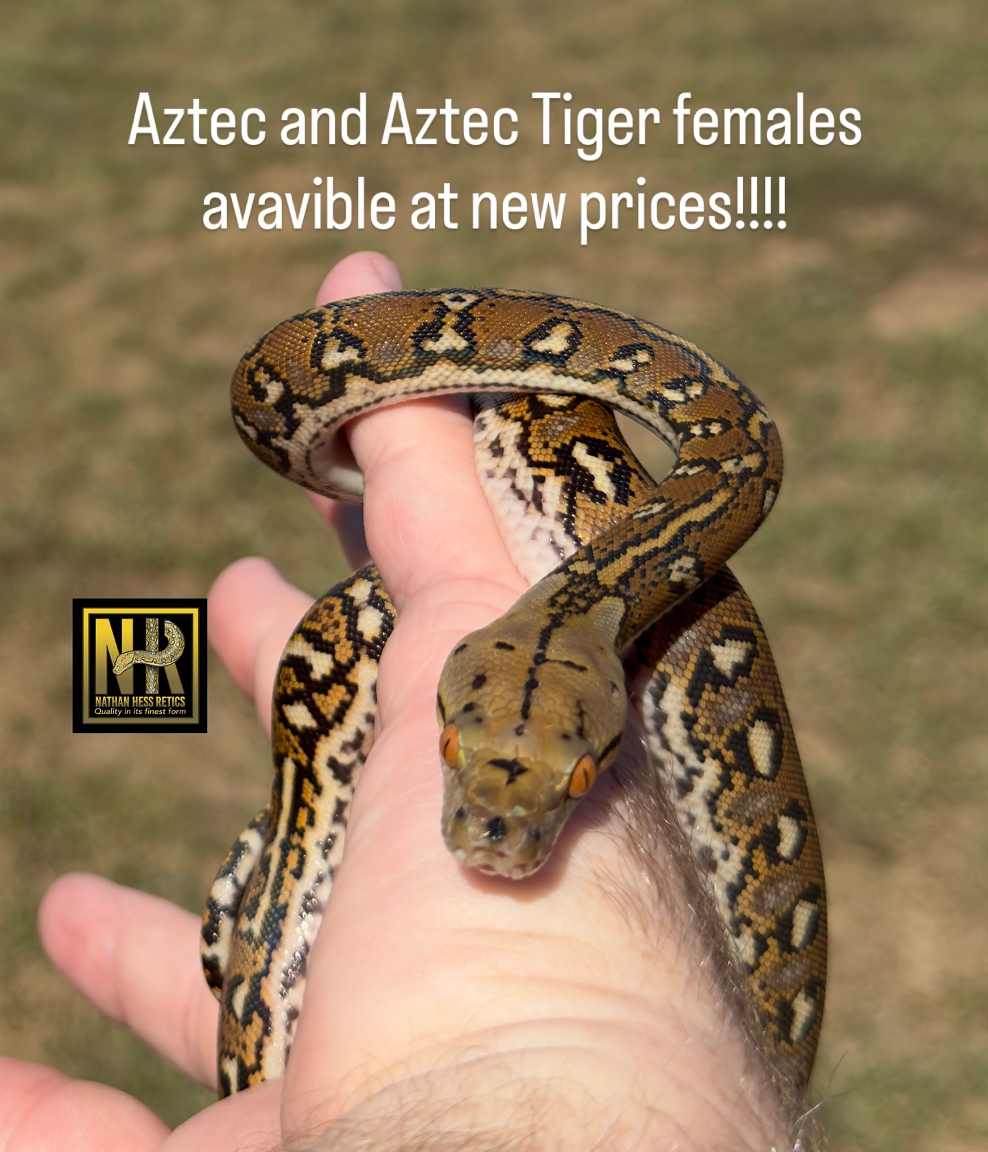 Send me a message or go to my website NathanHessReticsandmore.com