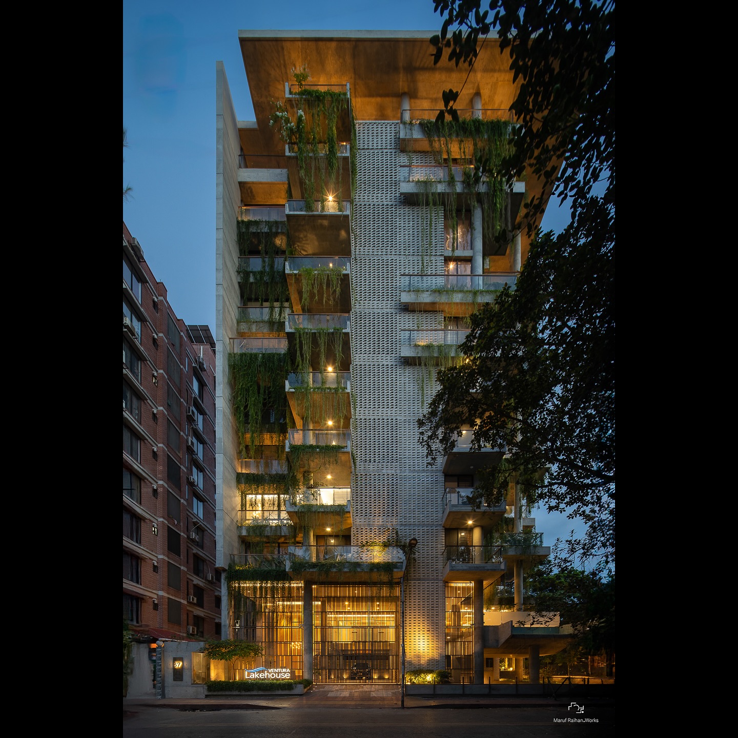 The few minutes of twilight, always my most cherished.