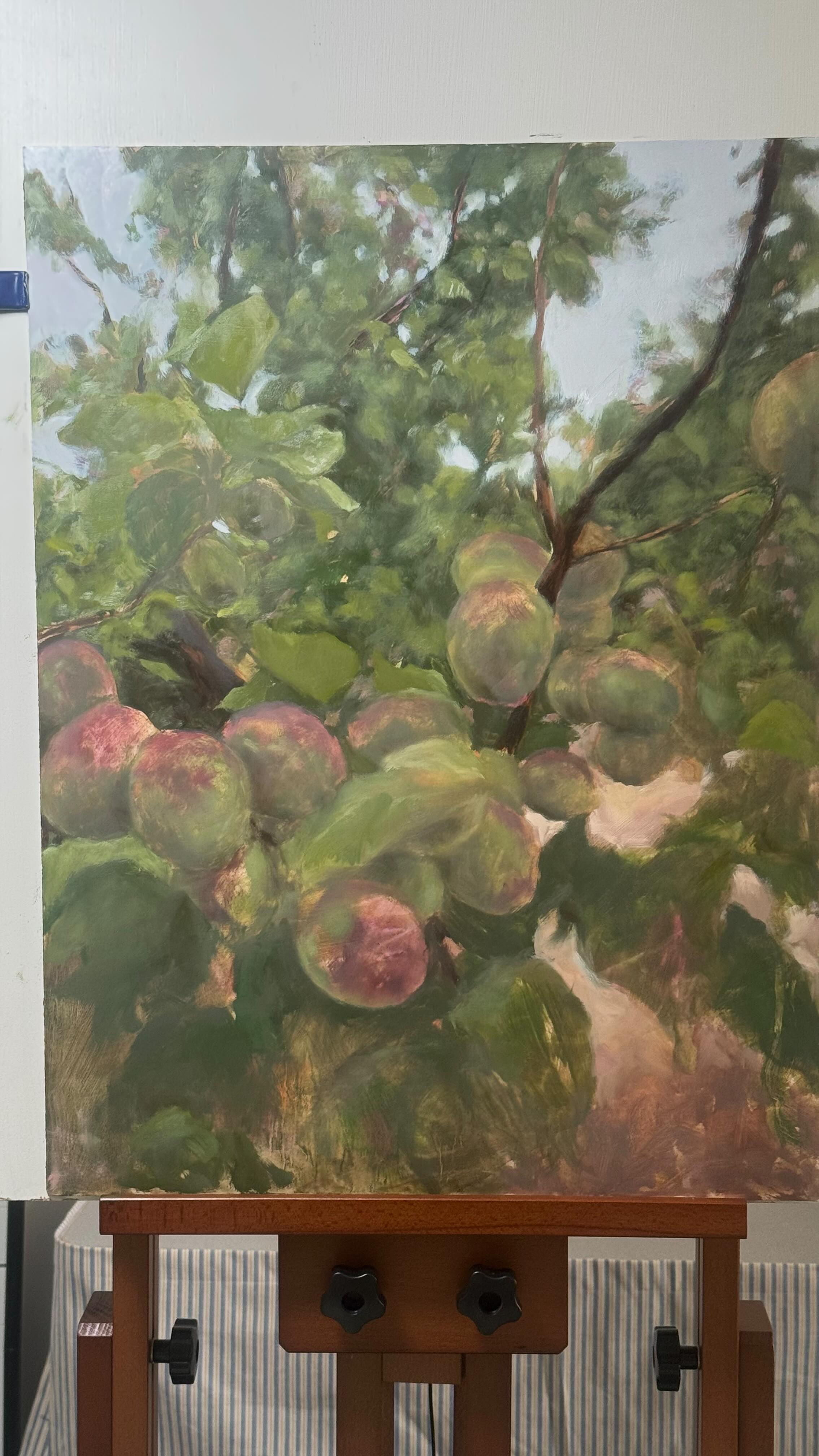 Tiny bits of progress in the awkward stage. Like being in middle school I guess. Stay tuned for the senior glow up.
This is a new wip of an oil painting for the upcoming @certainwomenartshow in Salt Lake City next year. I’m grateful for the opportunity to participate and ponder the theme of the show “Brave Like Eve”.