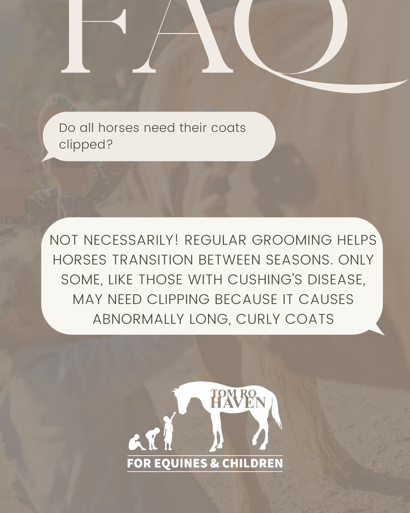 Not all horses need their coats clipped, but all deserve daily grooming 🐴✨
Grooming helps them stay comfortable as seasons change. Horses with Cushing’s disease may need extra care due to their unusually long or curly coats, and we make sure every horse gets the love and attention they need 💙
#HorseCare #TomRoHaven #EquineWellness #DailyGrooming #CushingsAwareness #HorseLovers #AnimalRescue #HealthyHorses #HorseLife #EquineLove