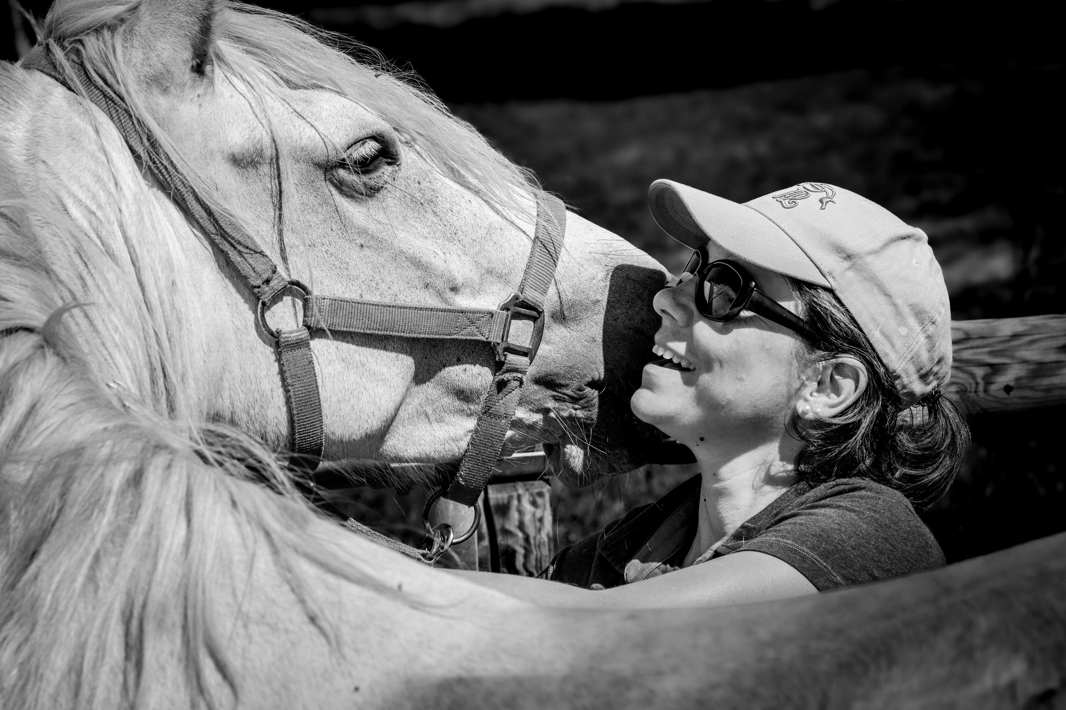 ✨ Complicité en noir & blanc ✨
Rien de plus pur que ce regard et ce sourire partagés…
Ces instants suspendus, où le temps s’arrête, rappellent pourquoi on aime tant être auprès des chevaux.
#Cheval #Complicité #Émotion #PhotographieÉquestre #NoirEtBlanc