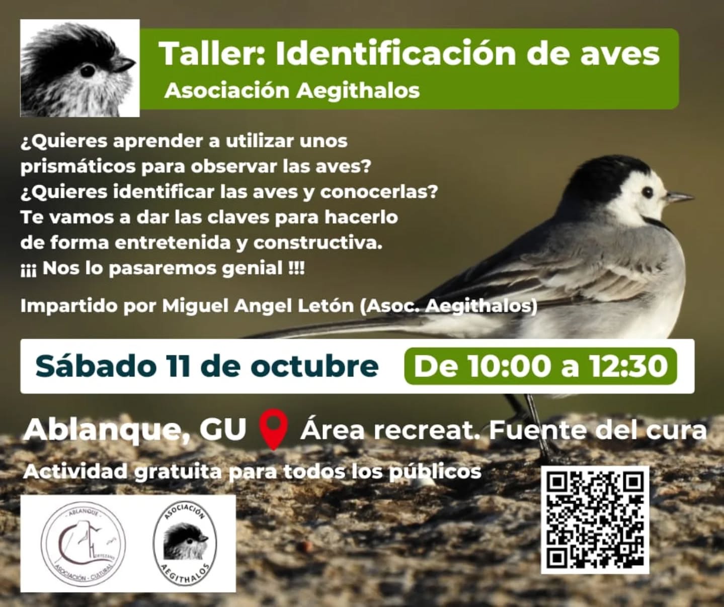 🐦 Taller de identificación de aves
✅ Sábado 11 de octubre
⏰ Hora de inicio: 10:00
📍 Ablanque, Guadalajara
⚠️ Más información en el cartel
#asociacionaegithalos #guadalajaraespaña #ablanque #identificacióndeaves #aves #ornitologia #prismáticos