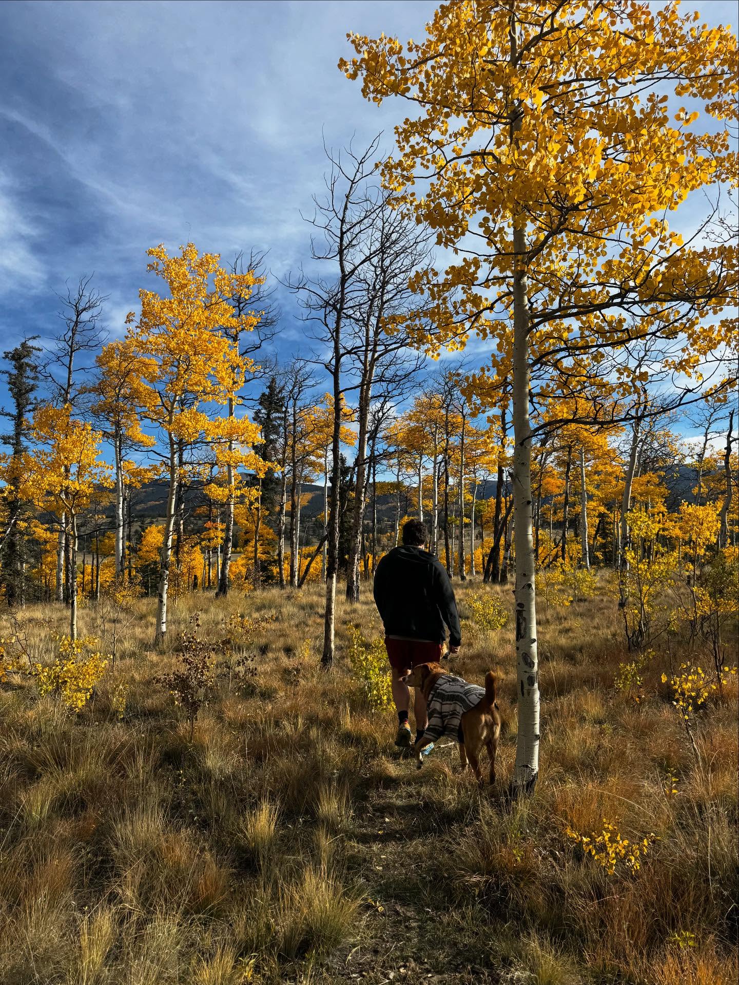 What better way to celebrate National Public Lands day than being outside?
We hope everyone gets to explore their outdoors! Those of us in Colorado are getting the full light show 😍