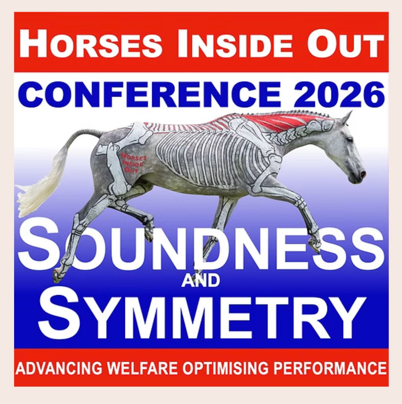 Super excited to find out that I have been selected to display my research poster at the Gillian Higgins Horses inside and out conference 2026! #research#vetphysio#HIO#conference#horses#symmetry