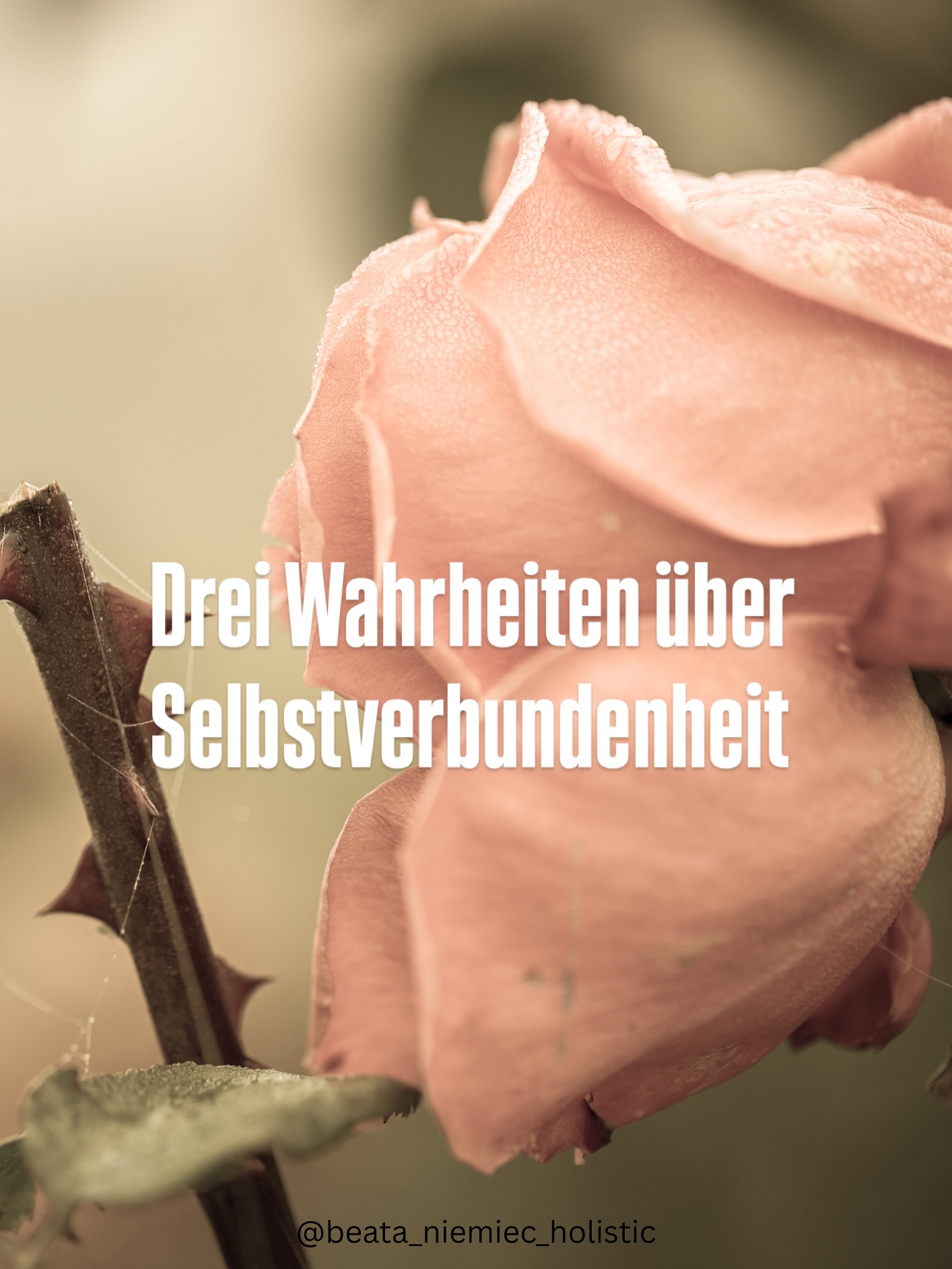 Selbstverbundenheit klingt oft sanft und leicht. 😌
Aber in Wahrheit bedeutet sie auch, unbequemen Gefühlen zu begegnen, ehrlich hinzuschauen und das auszuhalten, was wir sonst lieber wegschieben.
Es ist nicht immer rosig. Manchmal fühlt es sich rau an, manchmal macht es müde, und trotzdem lohnt es sich jedes Mal.
Denn genau in diesen Momenten, mit jeder Begegnung mit uns selbst, können wir wachsen.
Beata 🤍
#selbstverbundenheit #achtsamkeit #innerearbeit #innereswachstum #selbstreflexion #bewusstsein #persönlichkeitsentwicklung #achtsamesleben #achtsamkeitimalltag #innereruhe #seelennahrung #selbstliebe #selbstfürsorge #heilungsreise #coaching #hypnosecoaching #innereskind #rückführung #emotionenverstehen #holistictouch