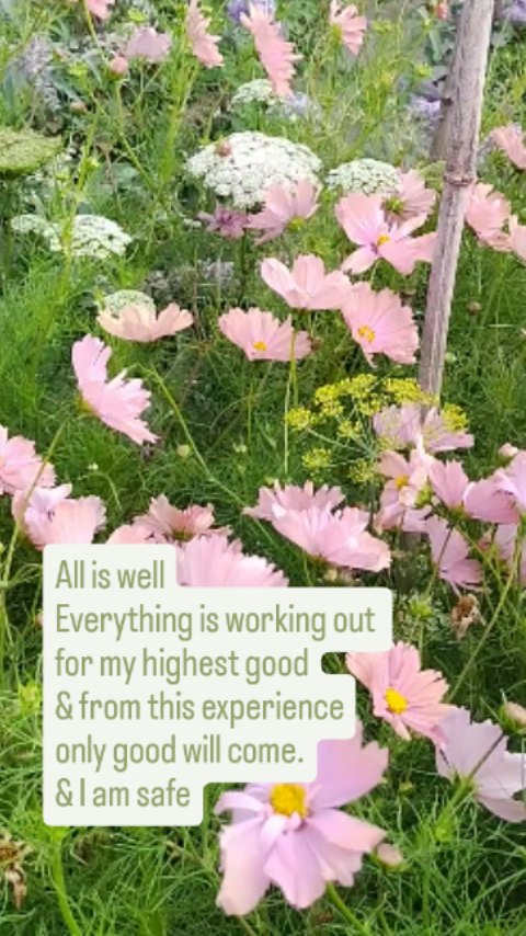 All is well...
Everything is working out for my highest good
& From this experience only good will come
& I am safe.
✨✨✨ Trust the process and watch the universe conspire in your favour.✨✨✨
Powerful but simple stuff.
Try it for yourself
#neuroplasicity #pma #positivementalattitude #retrainyourbrain #lookingforthepositives #rebalance #recalibrate #energyhealing #soundhealing #projectrecalibrate #cognitiverewiring