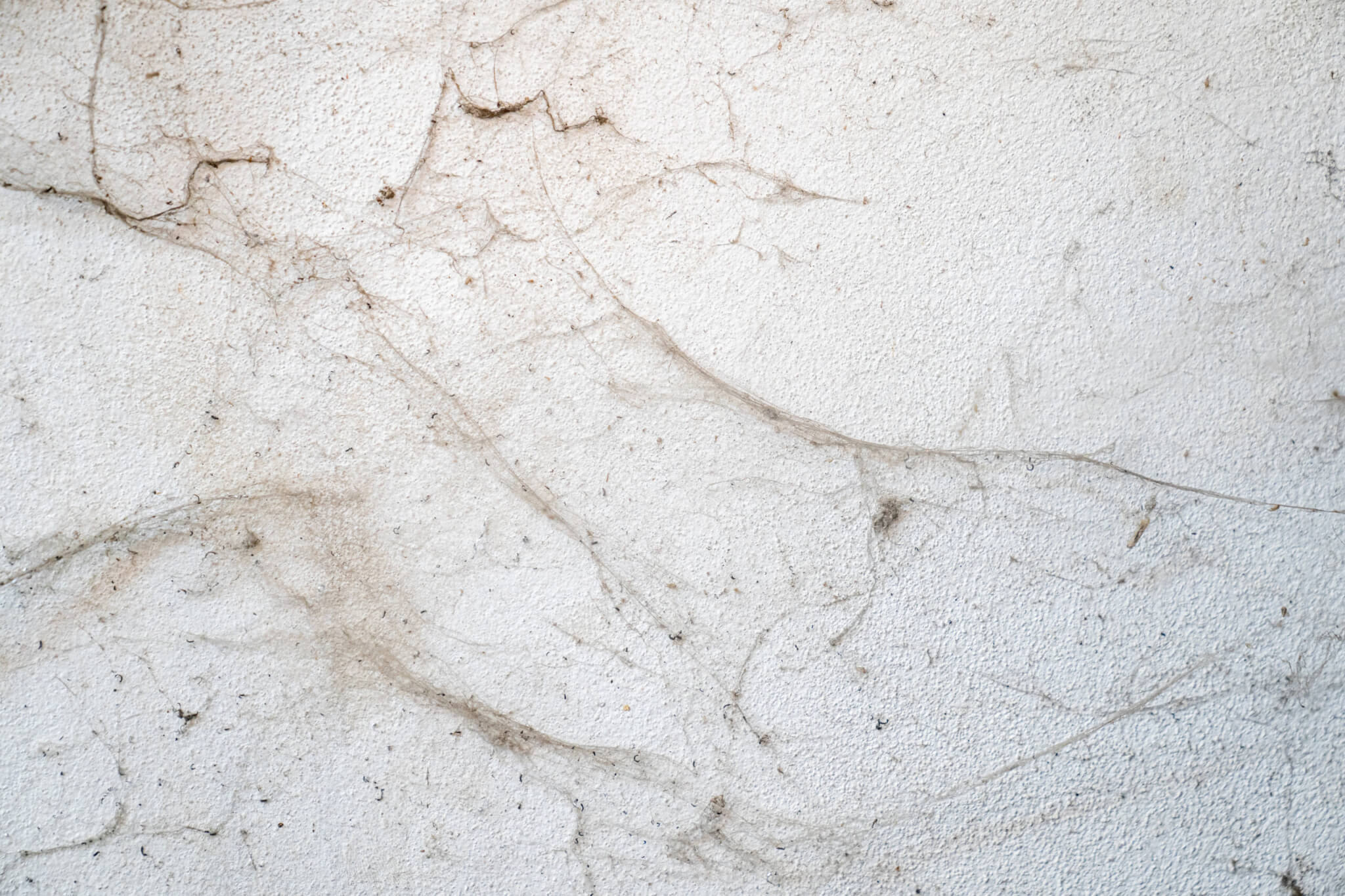 🕷️ Et si vos façades racontaient une autre histoire ?
Les araignées de façades, souvent invisibles au premier regard, laissent derrière elles des traces qui impactent directement l’image de vos bâtiments.
Ce ne sont pas seulement des toiles… mais parfois la première impression que vos visiteurs, clients ou partenaires auront de vous.
Chez Solyservices, nous savons combien il est important de préserver des façades propres, accueillantes et professionnelles.
✨ Une façade entretenue, c’est bien plus qu’une question d’esthétique : c’est un signal de confiance et de sérieux.
📞 Contactez-nous dès aujourd’hui au 04 37 22 62 90 pour redonner à vos bâtiments l’éclat qu’ils méritent
ou RDV sur Solyservices.com !
Il n'est pas trop tard pour agir !
#Araignée #Solyservices #Désinsectisation #Propre #Façade