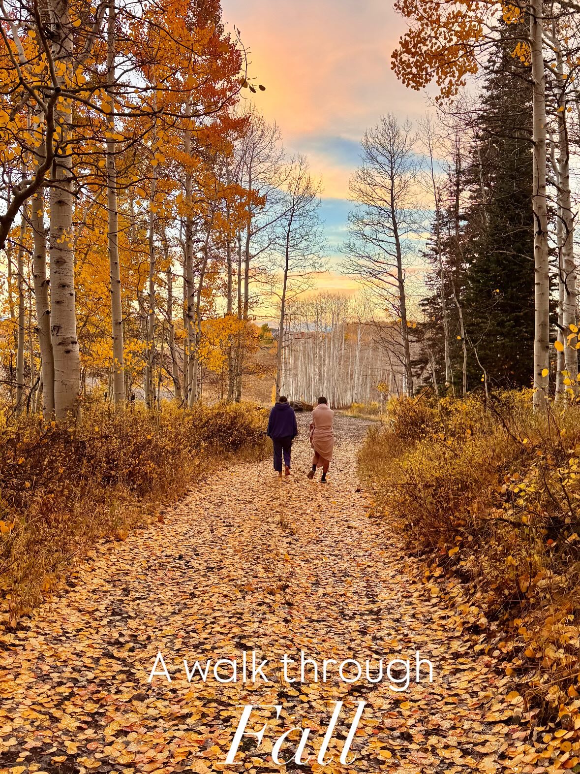 A walk through FALL. The forest was glittered with colorful leaves and it was magical. Nature is good for the soul. The kind of peaceful medicine that is so needed in the world, is found in places like this and I love soaking it up.
#fall #beautifulday #nature #beautifulworld #autumn #natureheals #goodforthesoul #peace #naturesmedicine #stillness #stressrelief