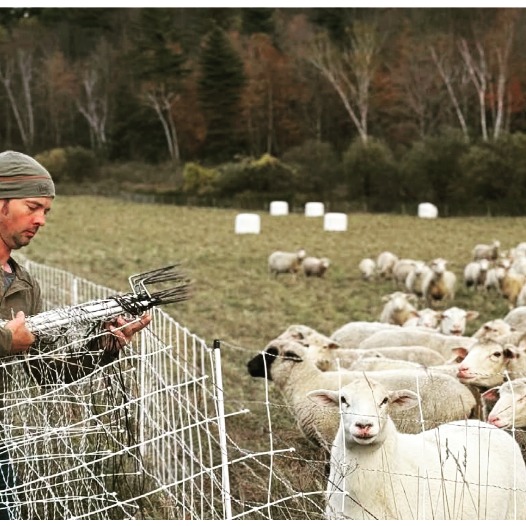 Read "Turning the Land Around: Lessons in Rotational Grazing and Ecosystems Recovery" by Danielle Zimmerman, our summer cover story from @smokeyhousecenter
https://online.fliphtml5.com/uhauf/vbuj/#p=6
@nofavermont @ctnofa @nofanewyork