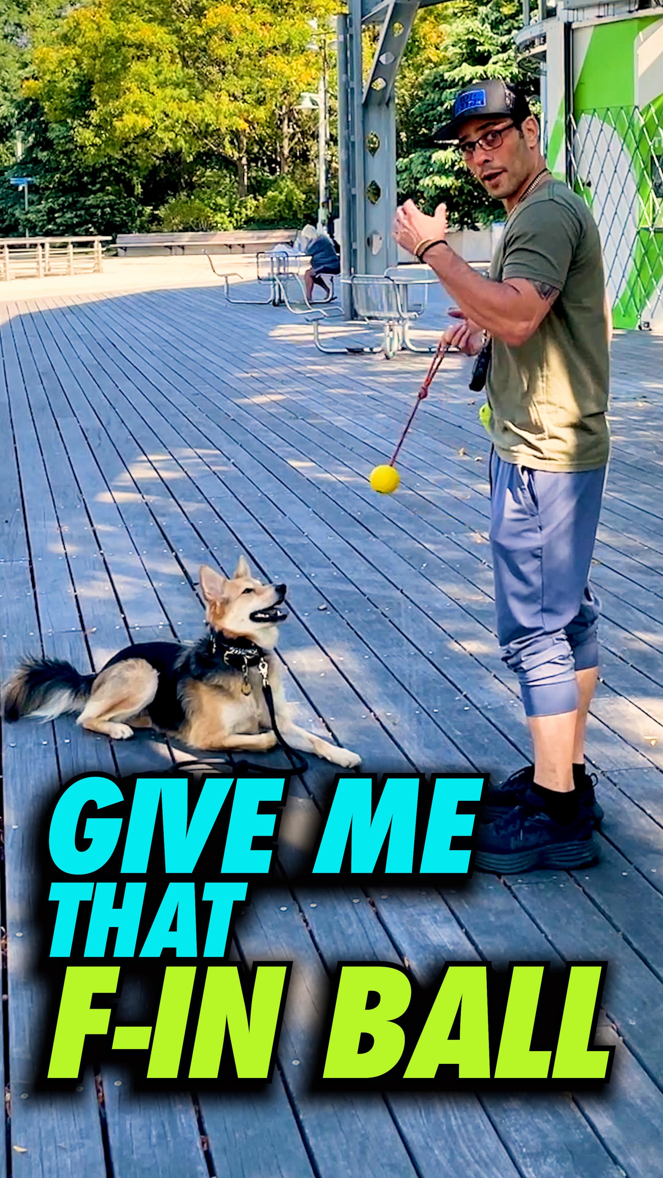 Share this W/ someone who’s dog needs to see it🐶😜
For training in NY & LA hit the DM’s
#dogs #dogtraining #dogmom #dogtrainer