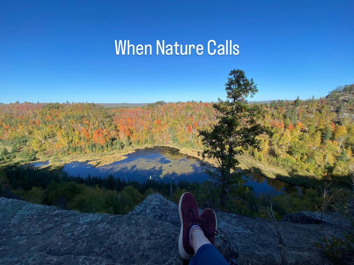 I was once told my urge to escape life isn't healthy but I don't think they understood. I don't want to escape my life I want a moment to live life fully in nature. To reconnect with the Earth and my breath. To take in the subtle noises of animals and the whisper of air. To wonder. To not speak. To feel full on colors and thoughts alone.
During the last few weeks I also took a break from social so thank you to my team who stepped up and did my flavor posts.
Don't forget to do what you need to nourish your soul. Sending you all love. 💜