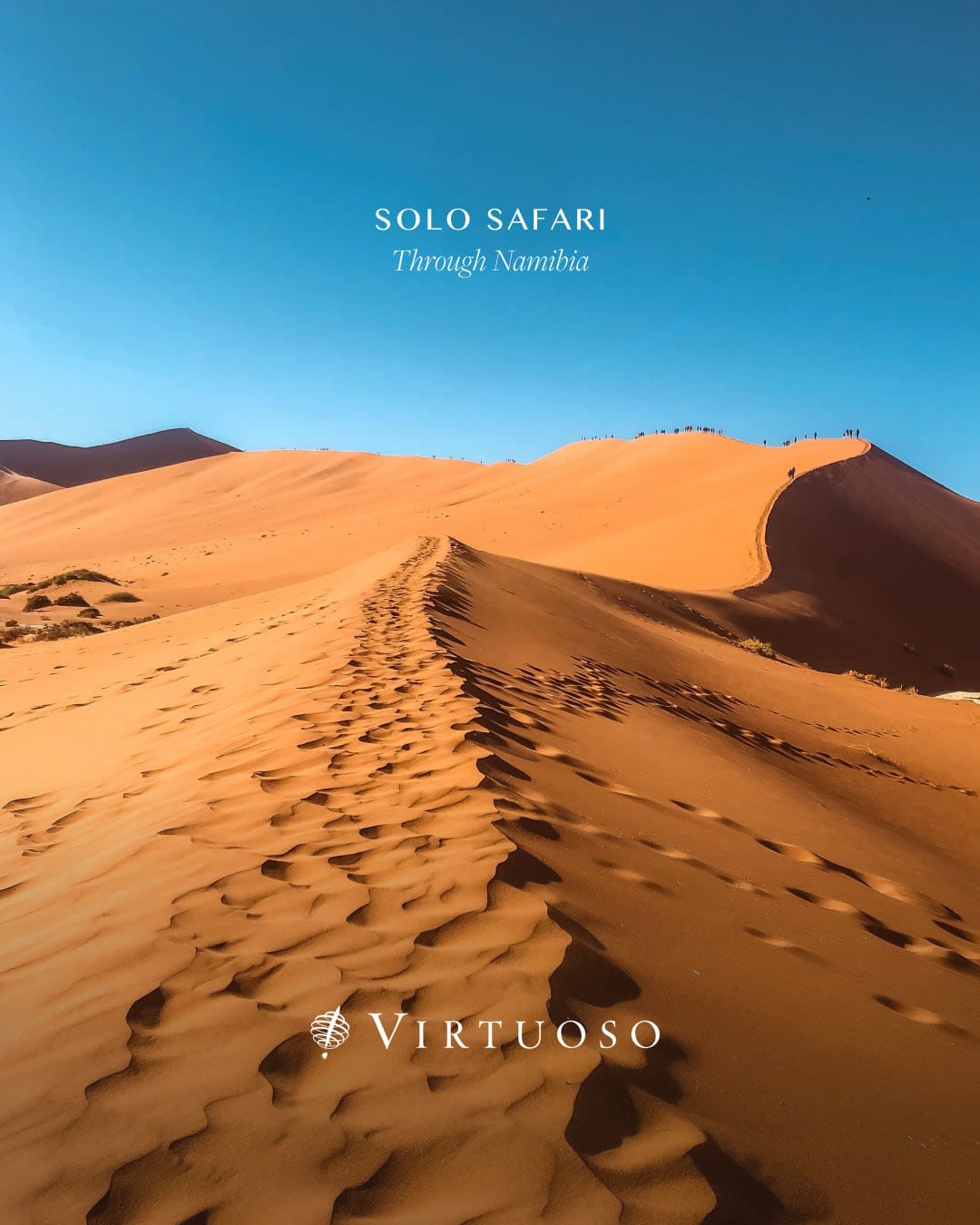 Namibia rewards those who venture off the beaten path. We’ll make sure your solo safari combines freedom with flawless planning. #VirtuosoTravel #bookwithwayyza #thewayyzaway