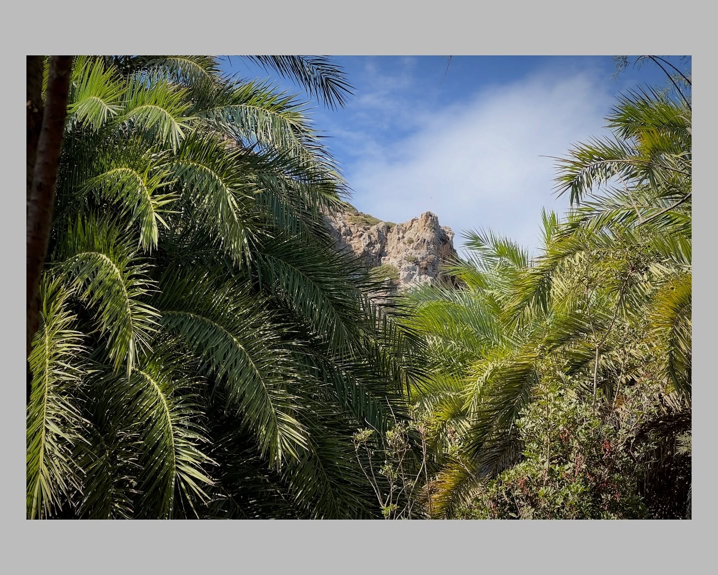 🌊 Where the river flows into the sea, a palm paradise awaits – welcome to Preveli Palm Forest, Crete’s hidden oasis.
#Kreta #Crete #PreveliPalmForest #GriechenlandUrlaub #DiscoverGreece #HiddenParadise #TravelGram #Wanderlust #NatureLovers #Geheimtipp #ParadiseFound #SeasideEscape #Urlaubstraum #AdventureAwaits #TravelVibes #TropicalVibes #UrlaubInGriechenland #HiddenGem #NaturPur #TravelAddict #Κρήτη #Ελλάδα #Παράδεισος #Παραλία #Φύση