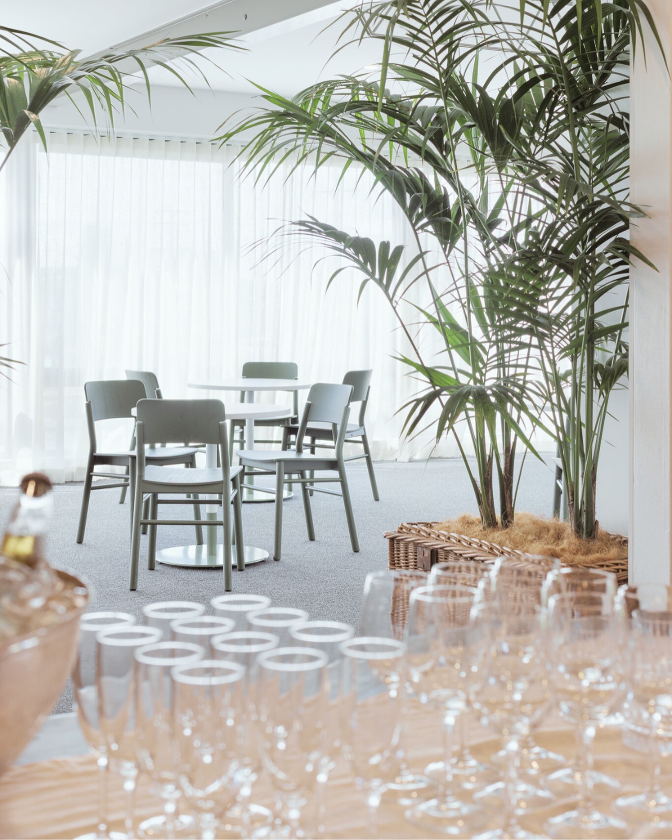 It’s been a beautiful start to spring in the Palm Room, filled with special events and celebrations.
We love hosting everything from private functions to corporate gatherings - with the added convenience of onsite accommodation for you and your guests. 🌿 @southpacificpalmsmotel
Stay, celebrate, and enjoy it all in one place.
Enquiries at
www.palmroomtuncurry.com.au
.
.
#palmroomtuncurry #events #groupaccommodation #southpacificpalmsmotel #tuncurry #forstertuncurry