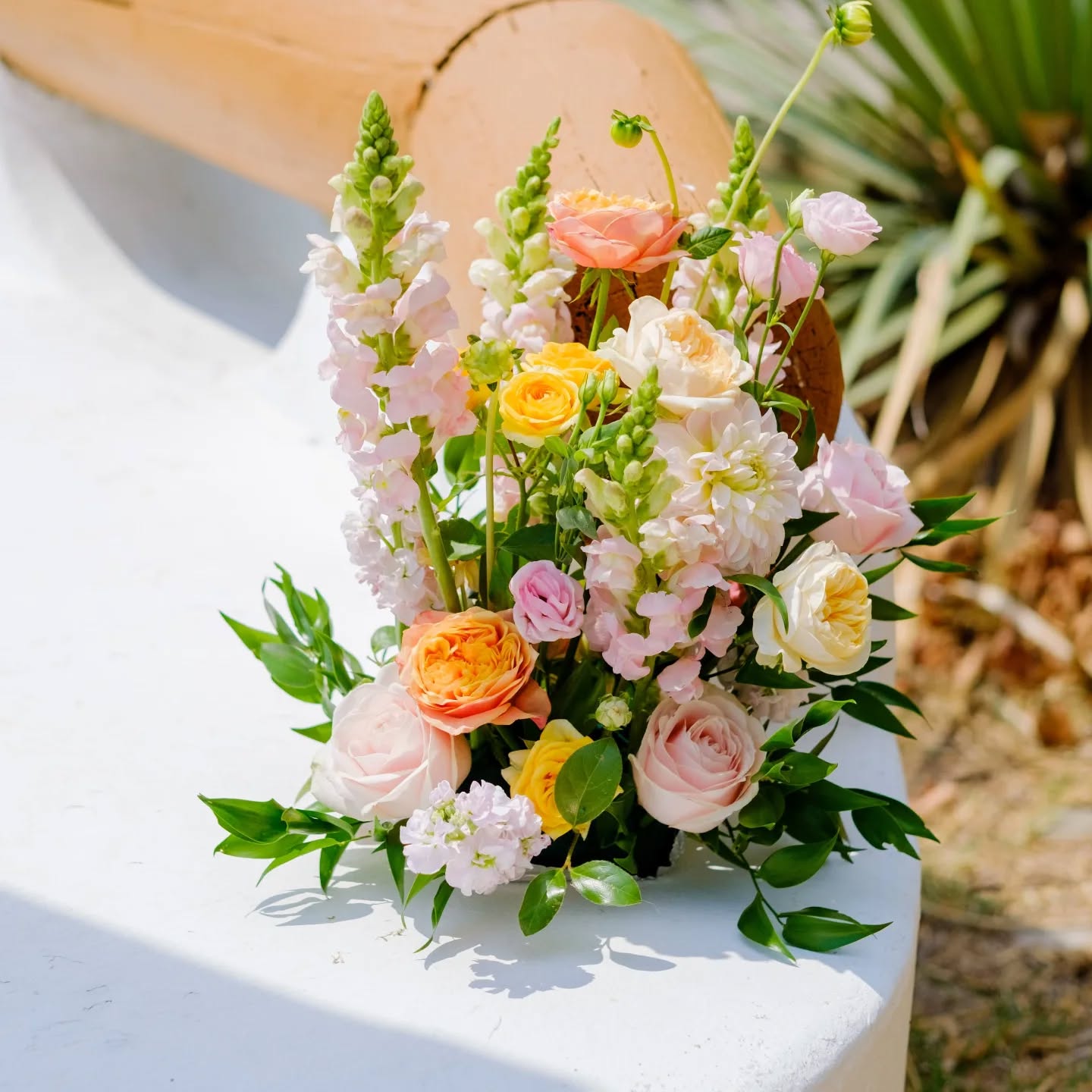 Une de mes compositions préférées de cette belle saison estivale 2025 ! Et vous c'est quoi vos couleurs favorites ?
@realplantain