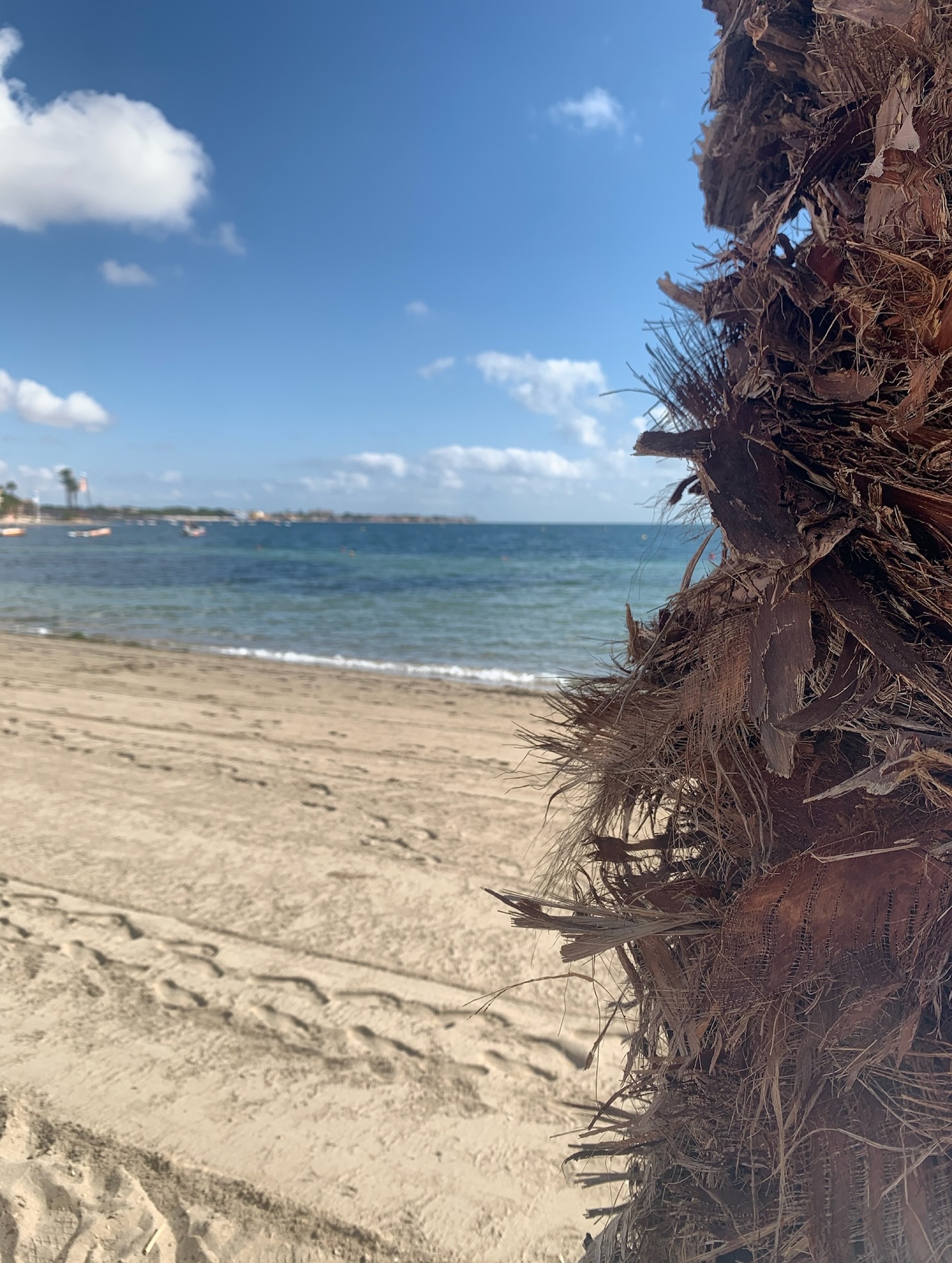 Onze villa ligt op slecht 10 minuutjes wandelen van de prachtige rustige stranden van Los Alcázares! Ideaal dus als je naast het zwembad ook wilt genieten van zwemmen in de Mar Menor.
#MarMenor #Strandvakantie #Genieten
