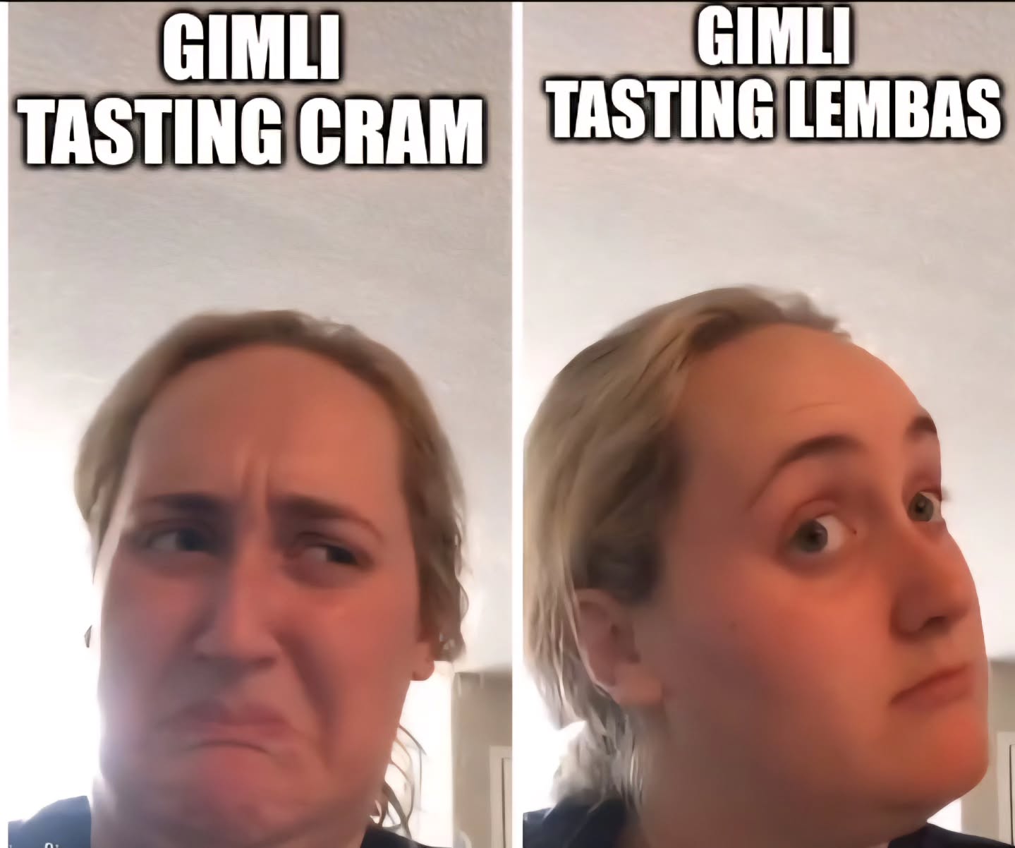 When it comes to Middle Earth travel food, definitely choose the Lembas waybread.
Learn about what these are and why Cram is so bad at Beyondthebrandywine.com!