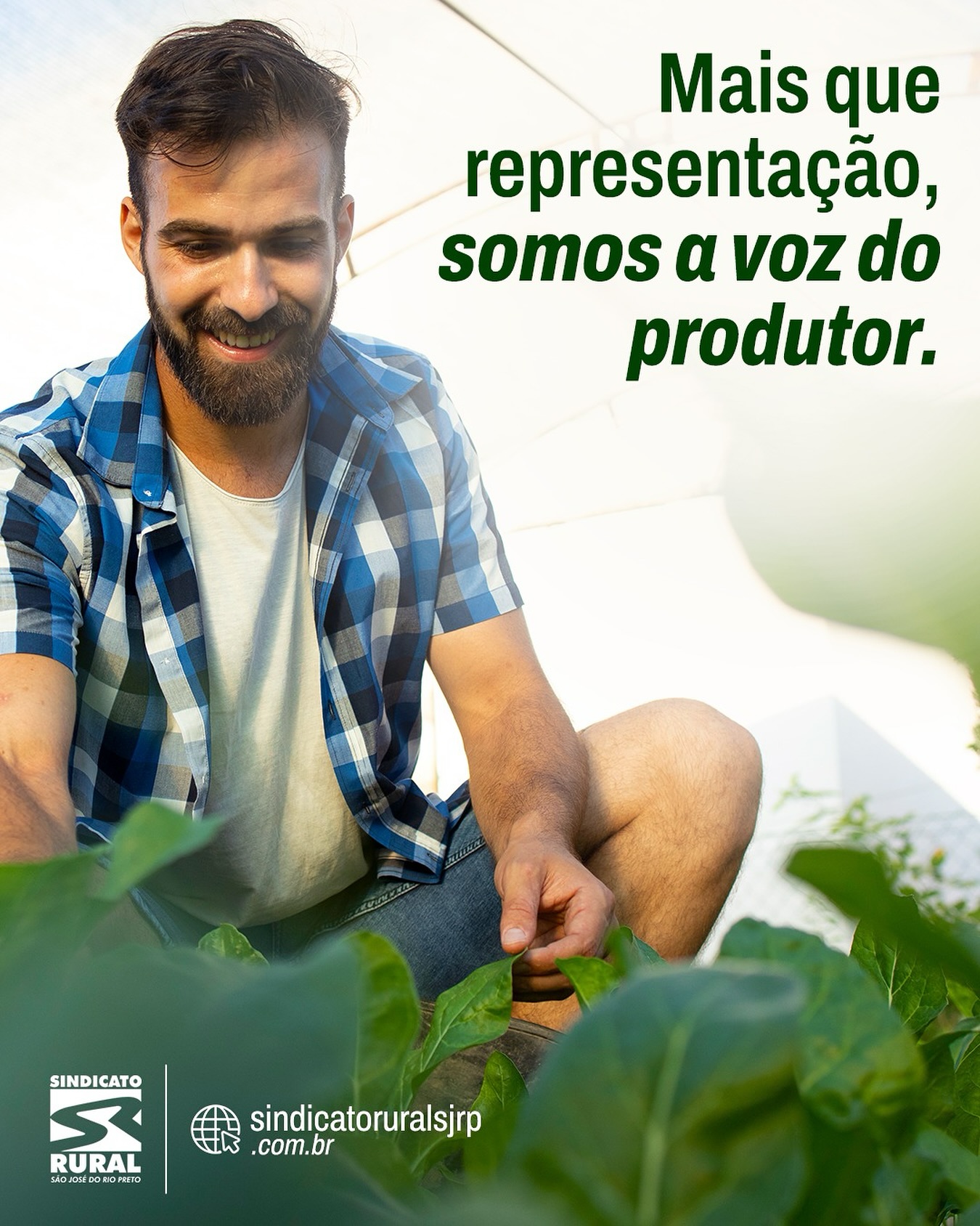 No Sindicato Rural de São José do Rio Preto, apoiar o produtor vai além do presente: é preparar o futuro das próximas gerações no campo.
Com parcerias estratégicas com Senar, Faesp e Sebrae, disponibilizamos cursos gratuitos todos os meses, capacitando e fortalecendo quem faz o agro brasileiro crescer.
Telefone: (17) 3232-5115⠀
Site: www.sindicatoruralsjrp.com.br
#sindicatoruralderiopreto #produtorrural #campo #agro #agricultura #riopreto